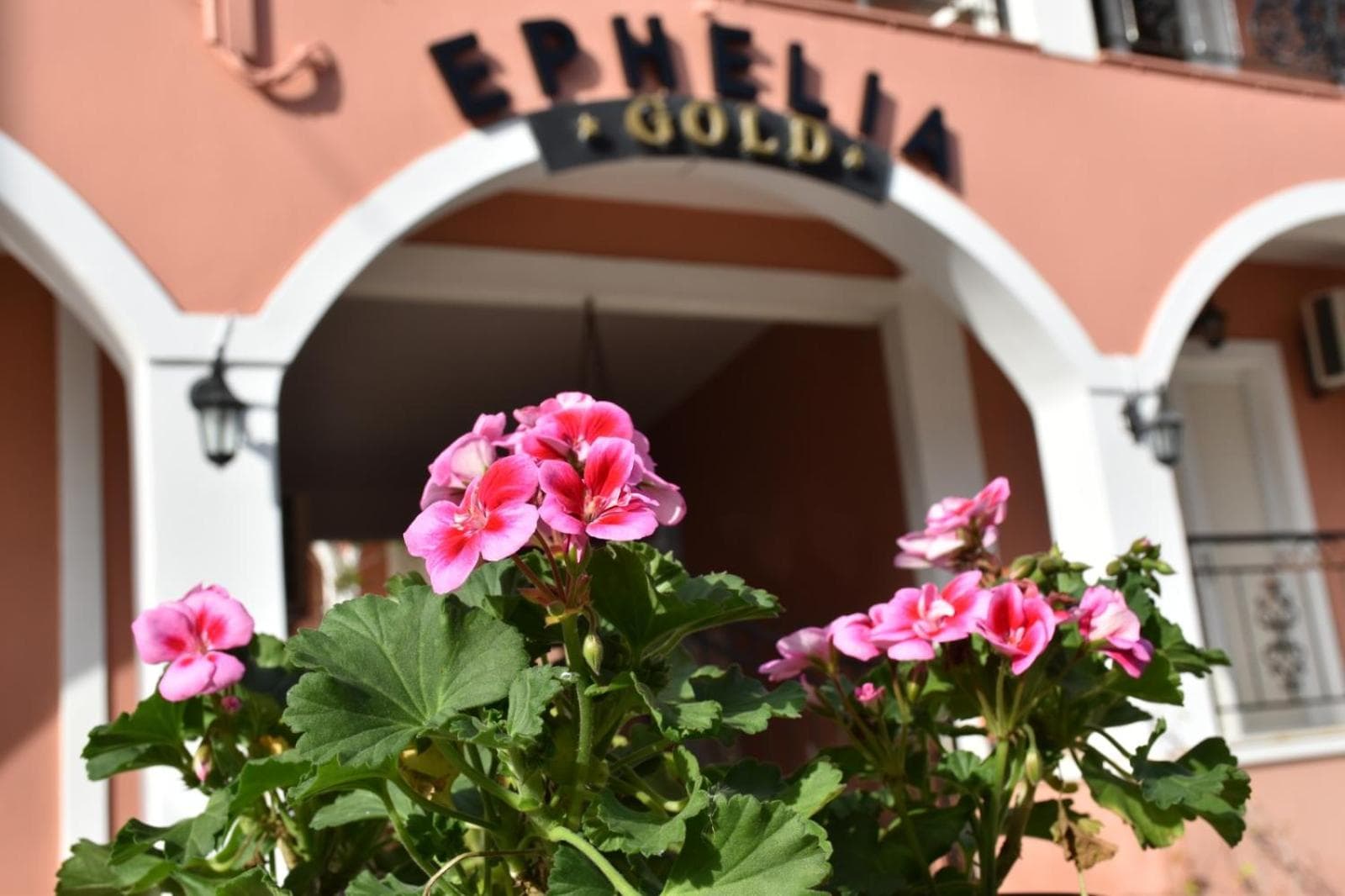 Ephelia gold, Laganas