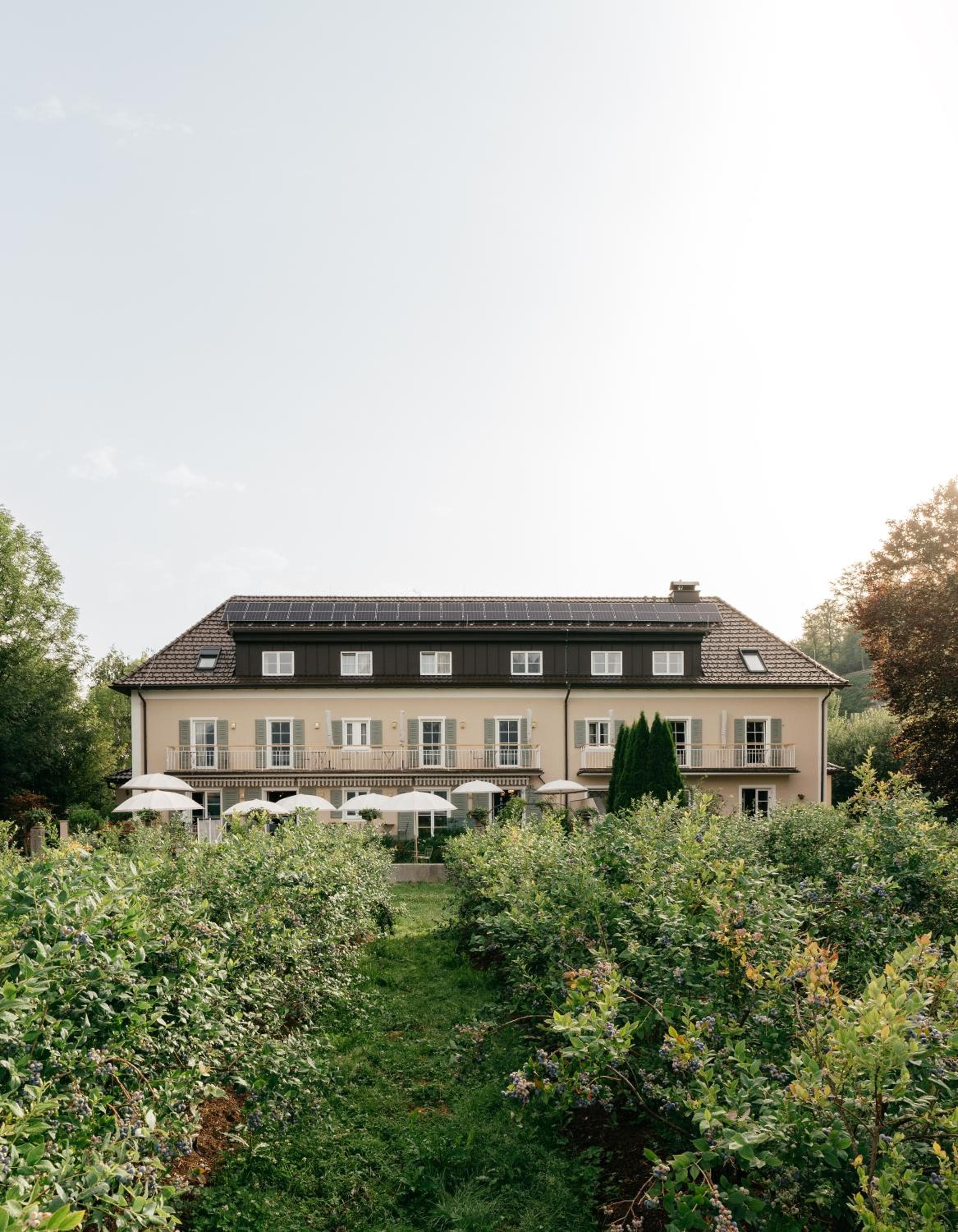 Numa Salzburg Ivy, Anif