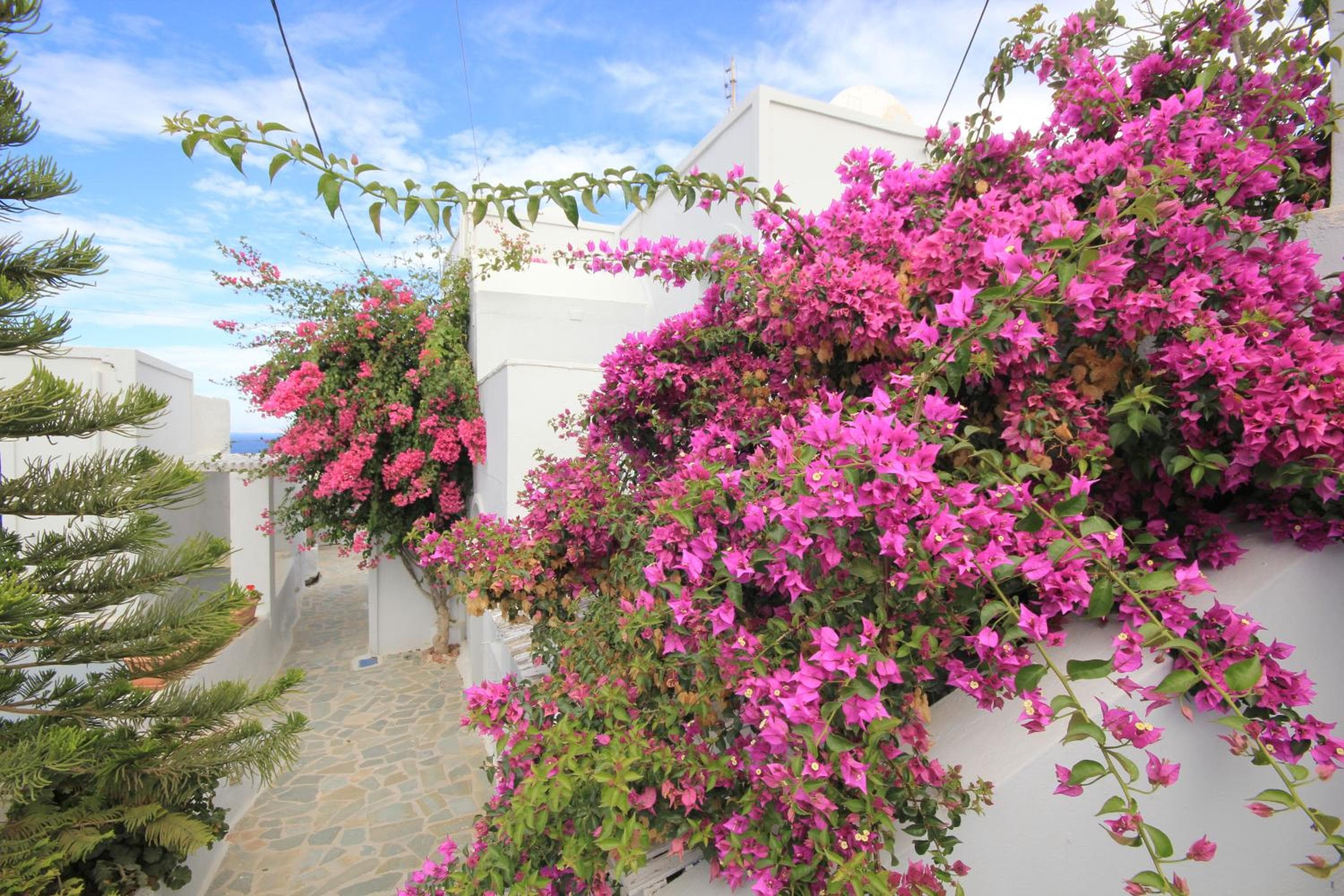 Unique Galini Oia - Adults Only, Oia, photo 6