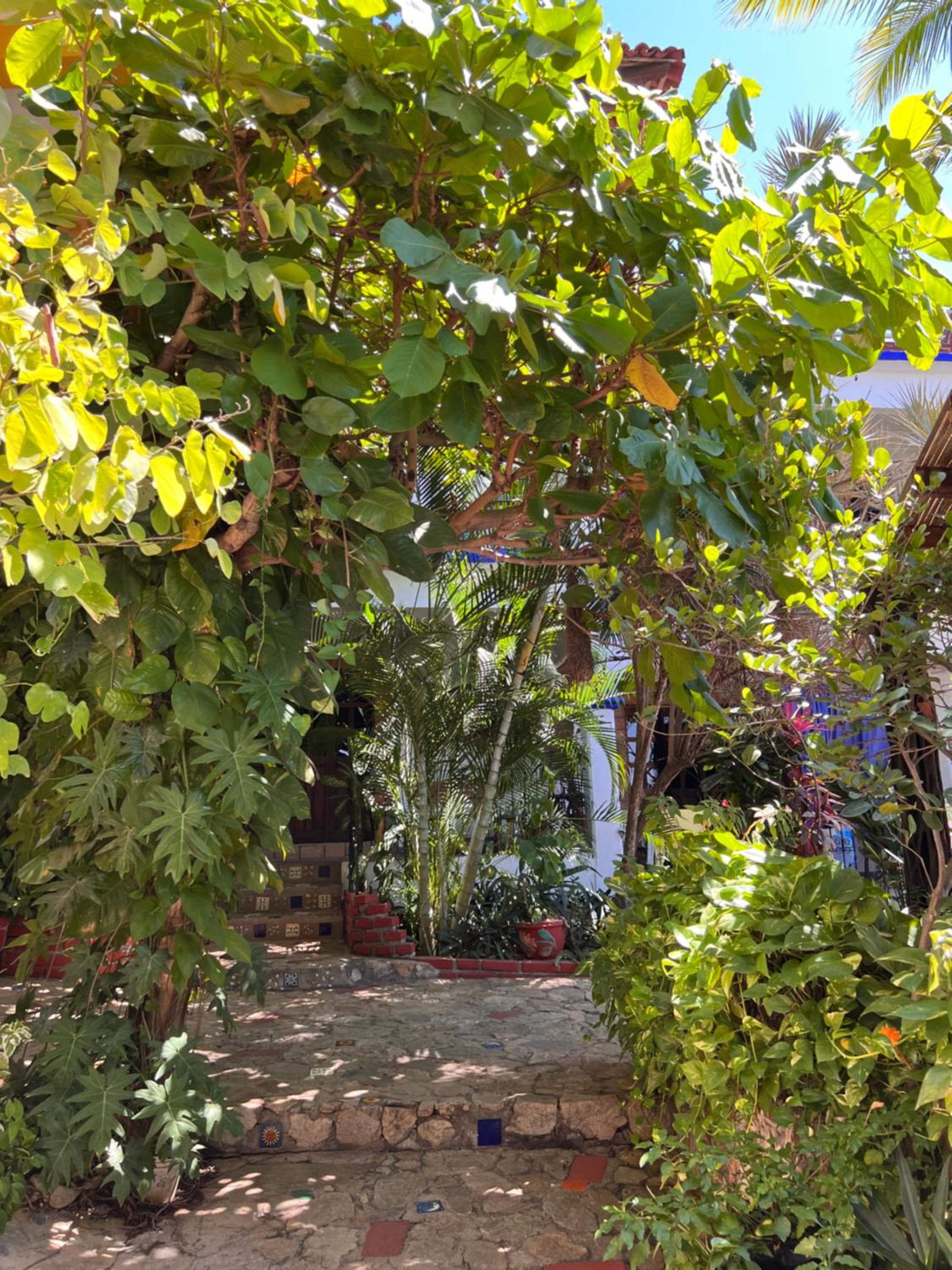 Casa Terranova, Puerto Escondido, photo 5