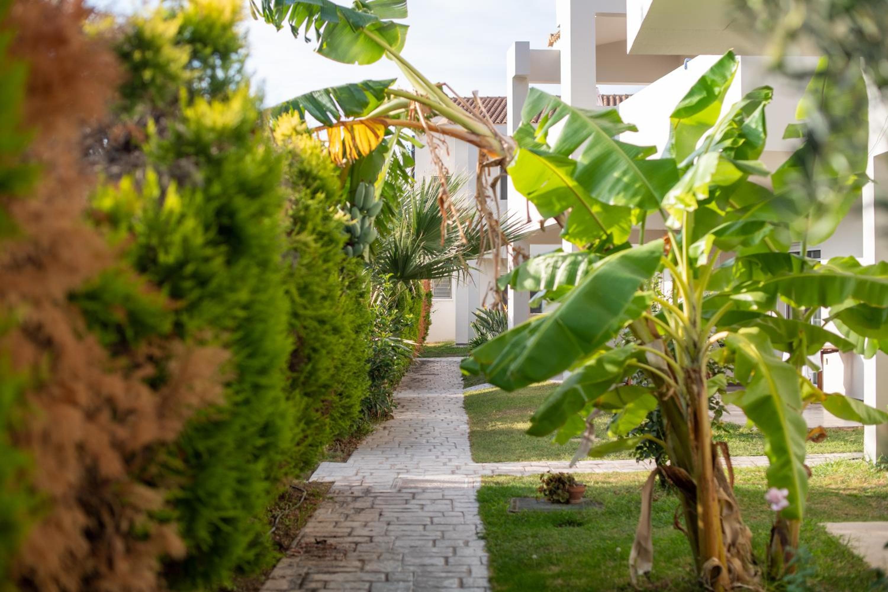 Alkistis Hotel, Diakopto