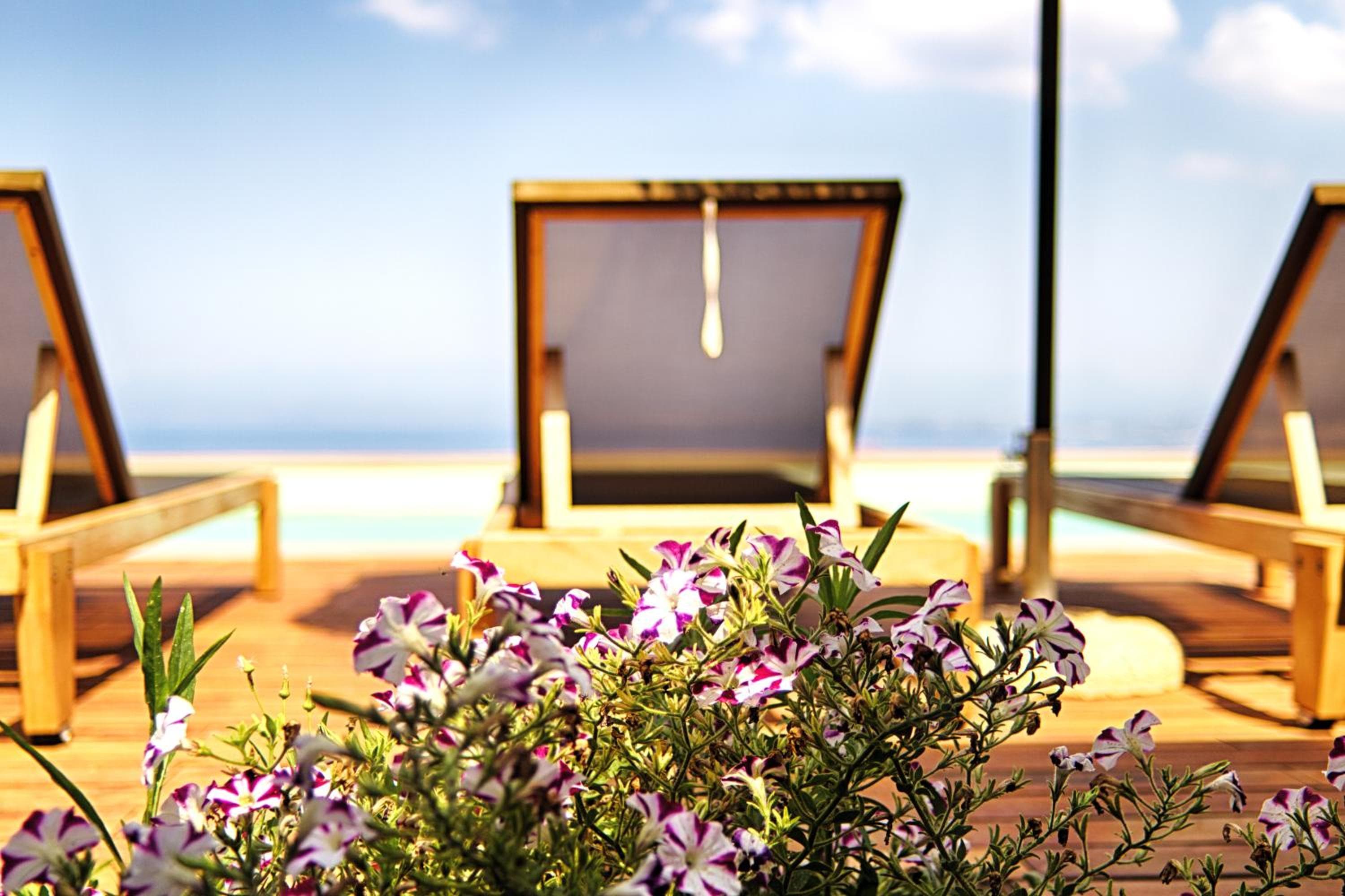 Euphoria Estate Messinia, Avia, photo 2
