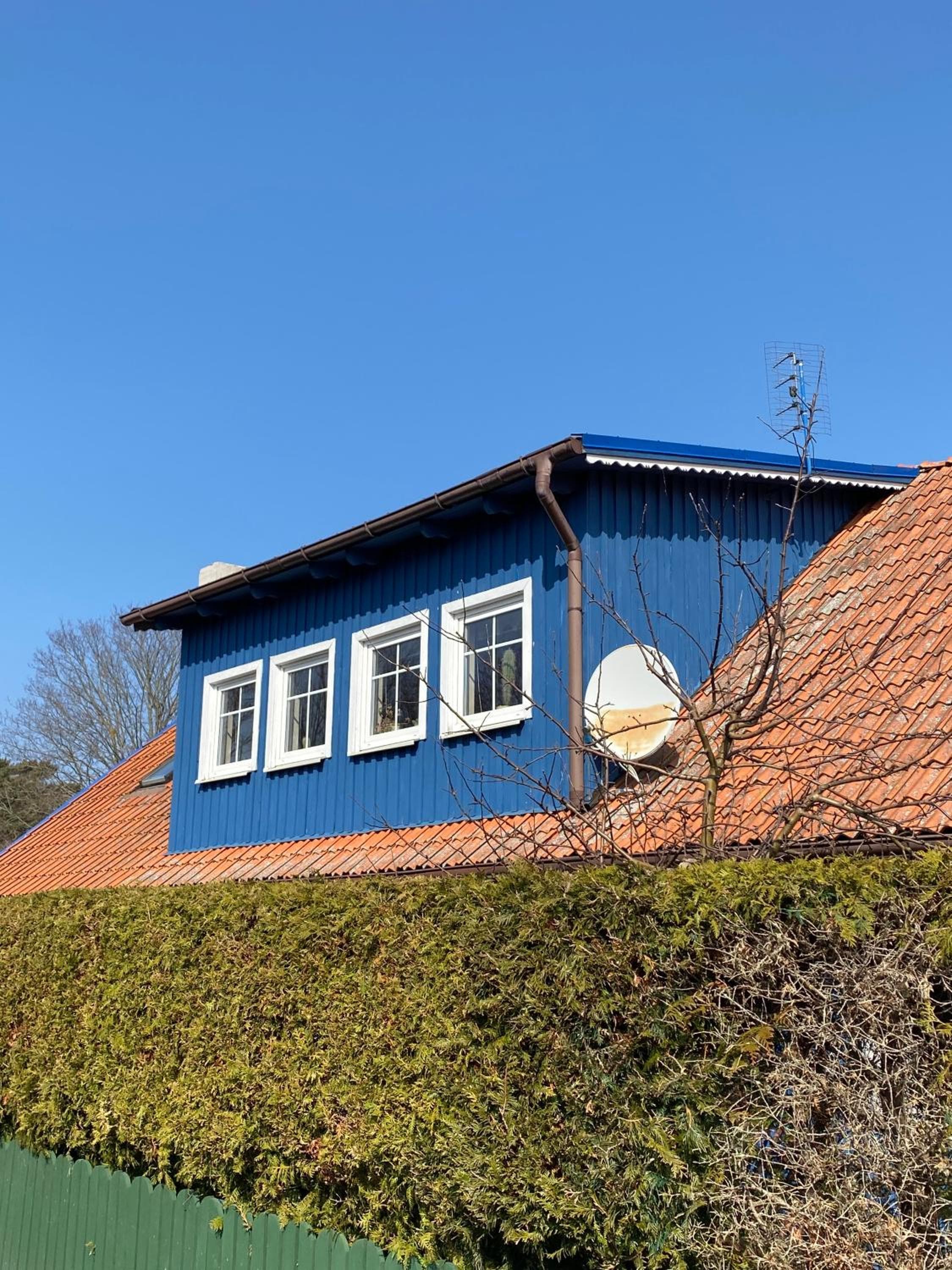 Bangomūša, Nida, photo 3