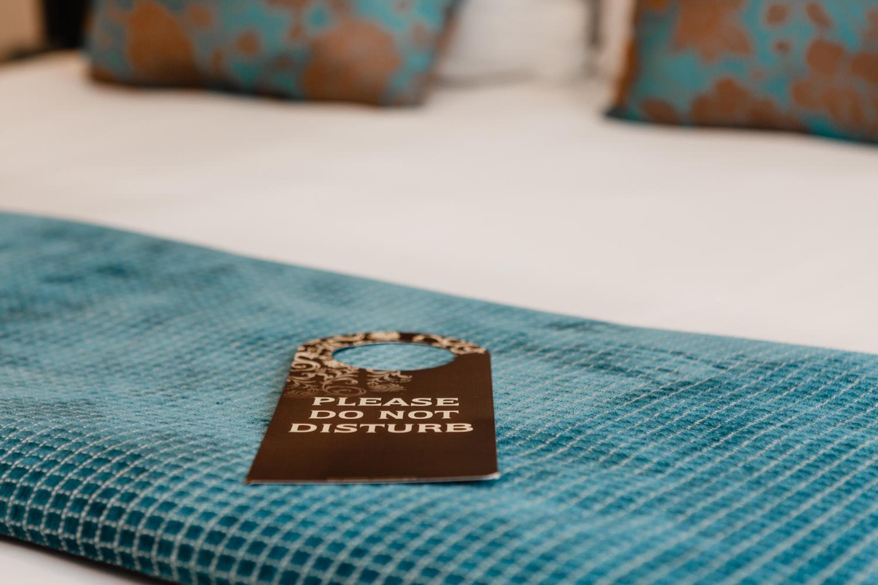 Gilmer Apartment Hotel, Wellington, photo 5