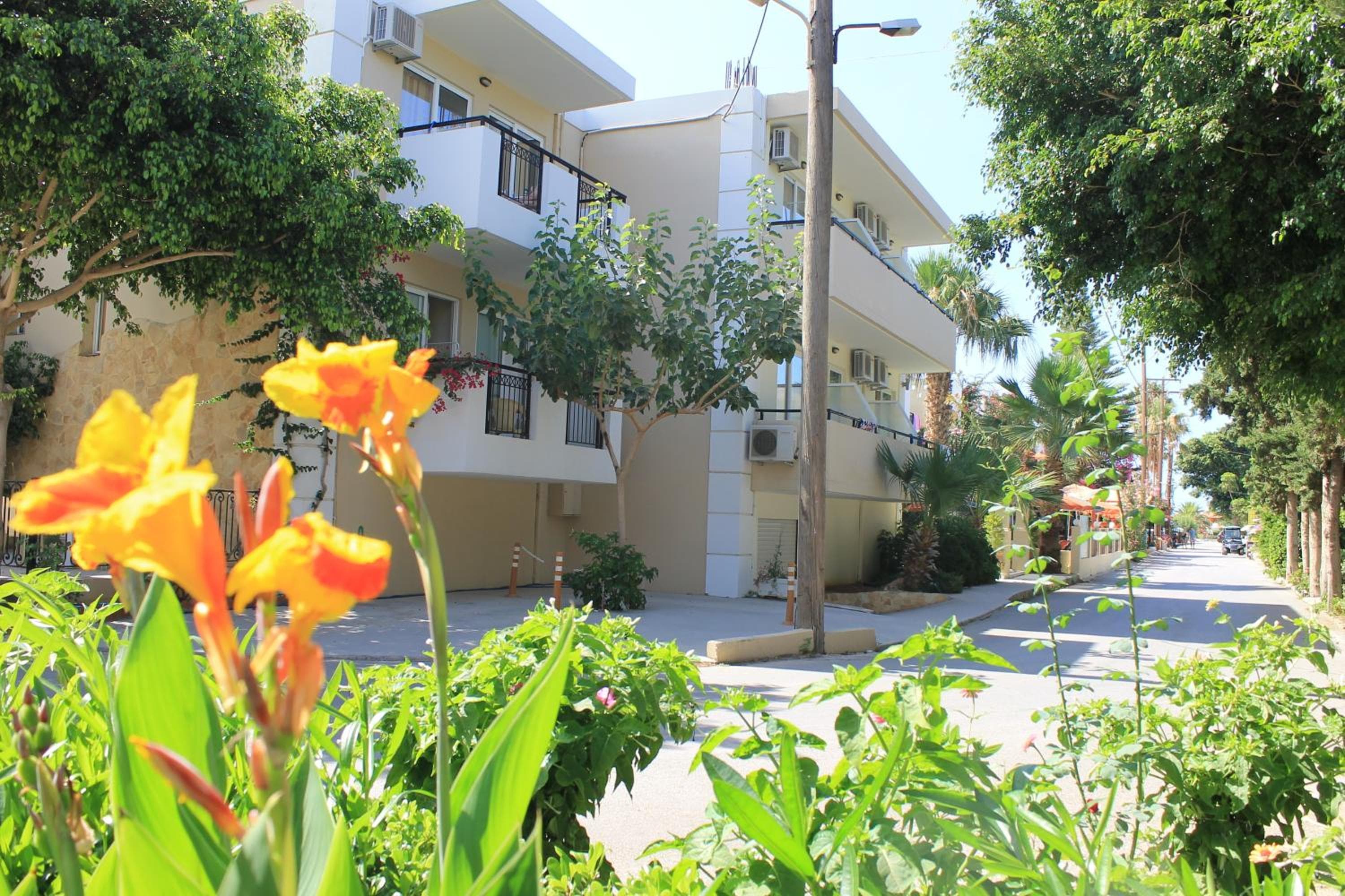 Varvara's Diamond - Adults Only, Platanes, photo 3