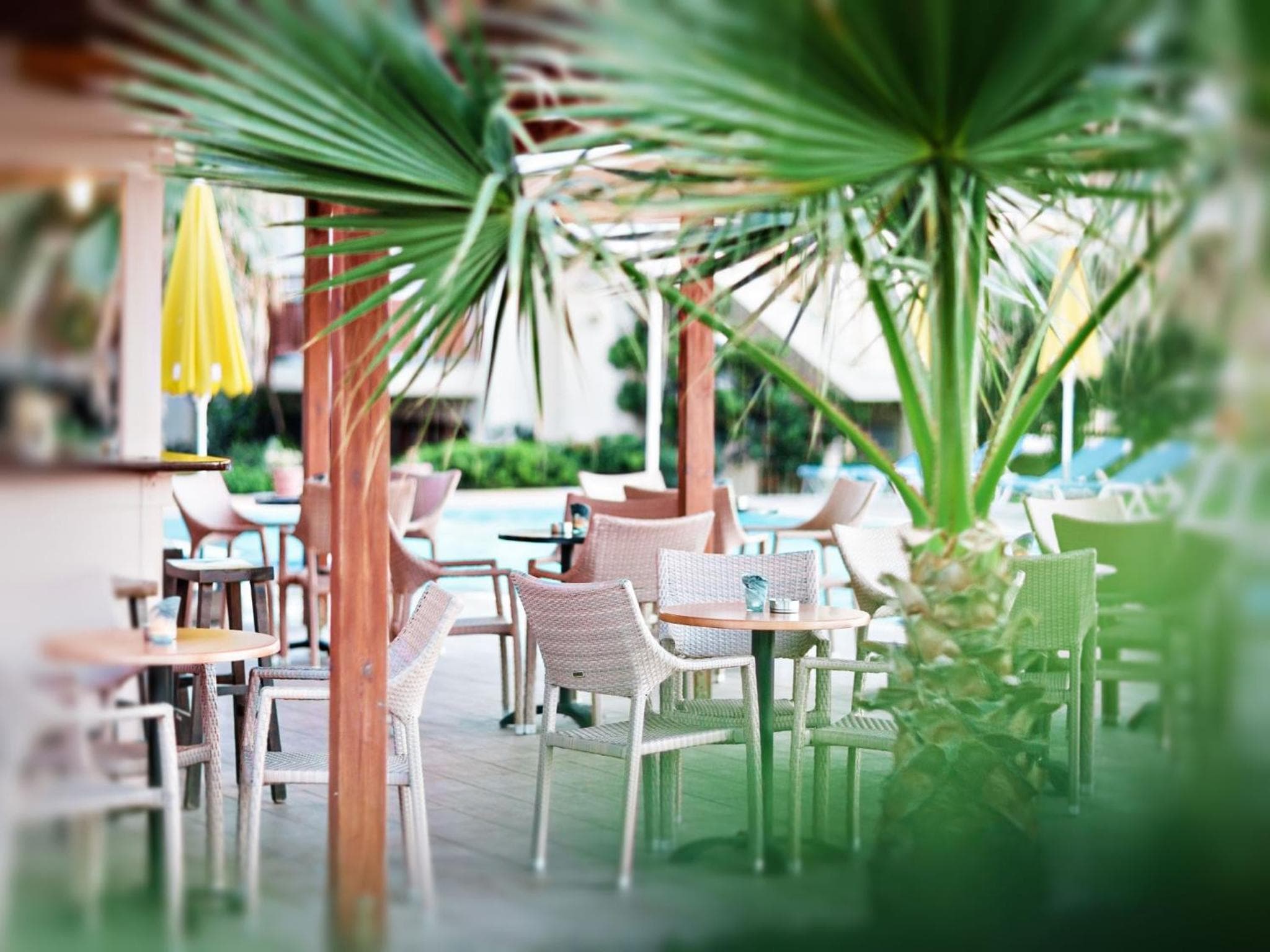 Ilian Beach & Apartments, Rethymno Town, photo 5