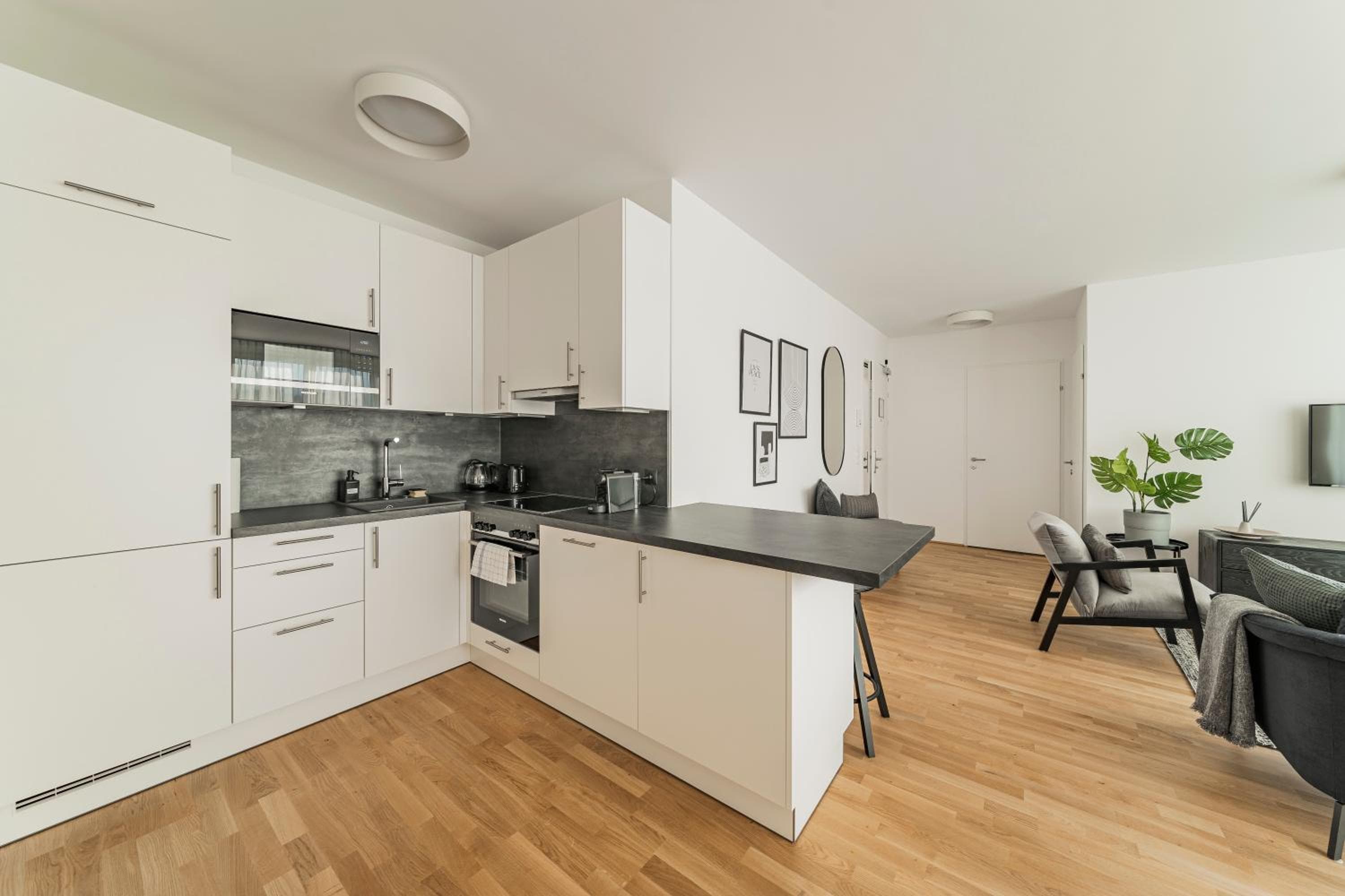 Arbio I Liv's Place Lux Apartments, Vienna, photo 5