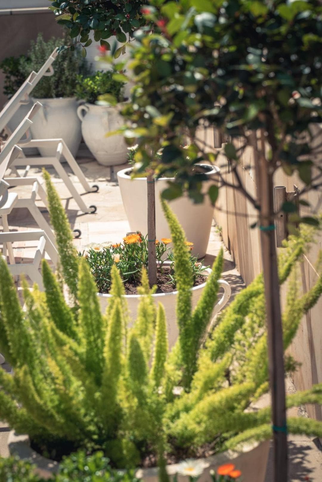 Chrielka Hotel, Limassol, photo 2