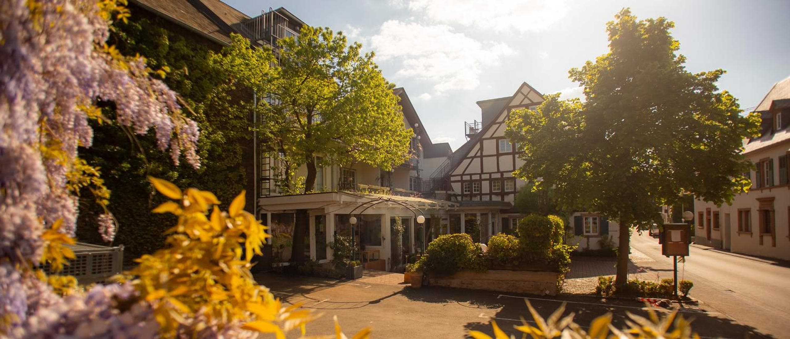 Ferienresidenz Brauneberger Hof an der Mosel nahe Bernkastel-Kues, Brauneberg