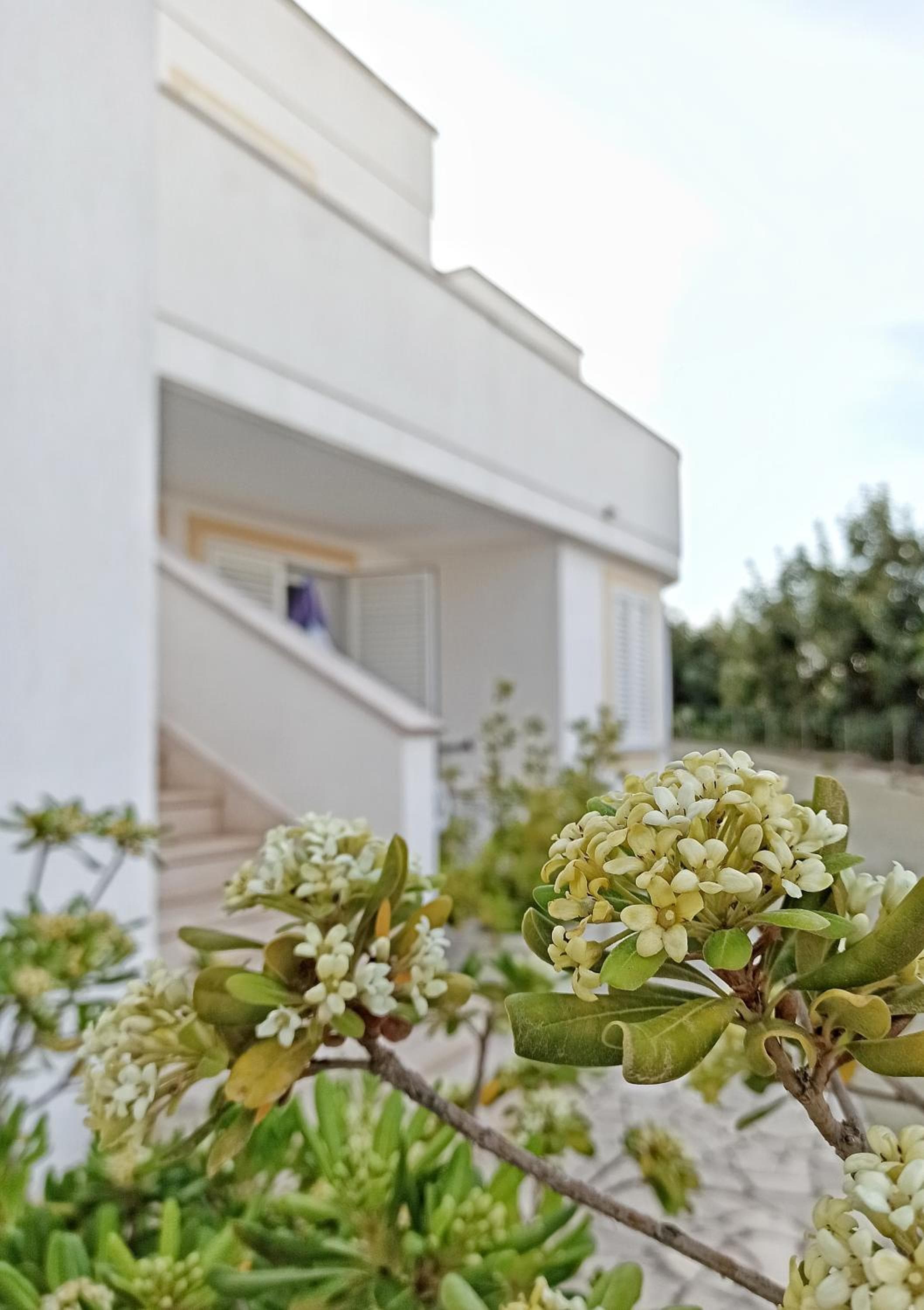 Residence Bellevue, Leuca, photo 6