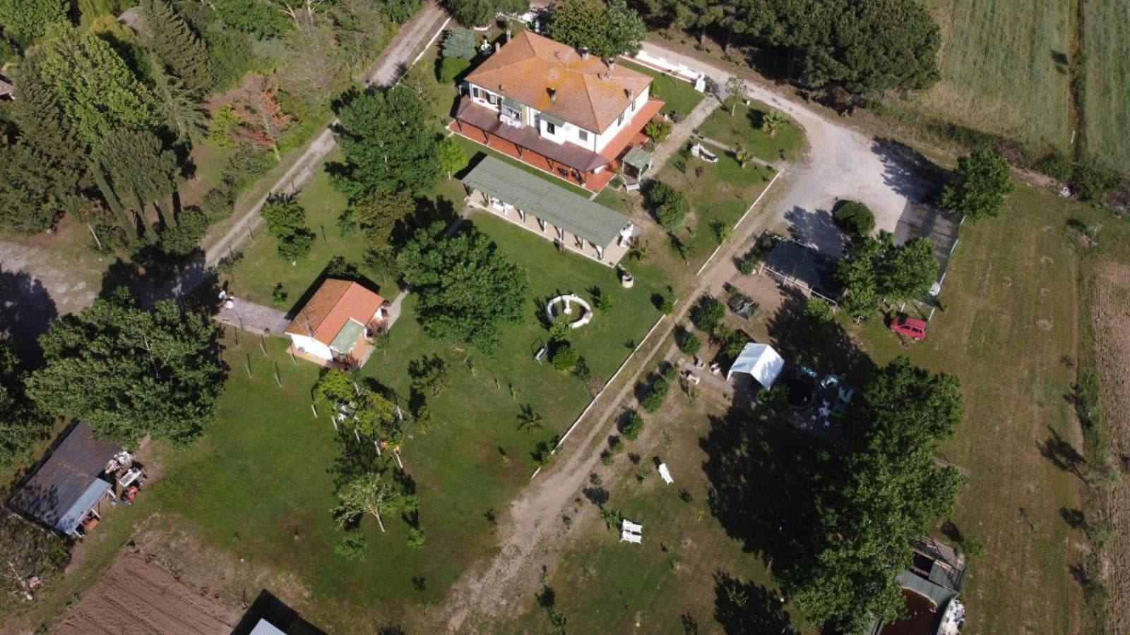Villa Isabella, Marina di Grosseto, photo 3