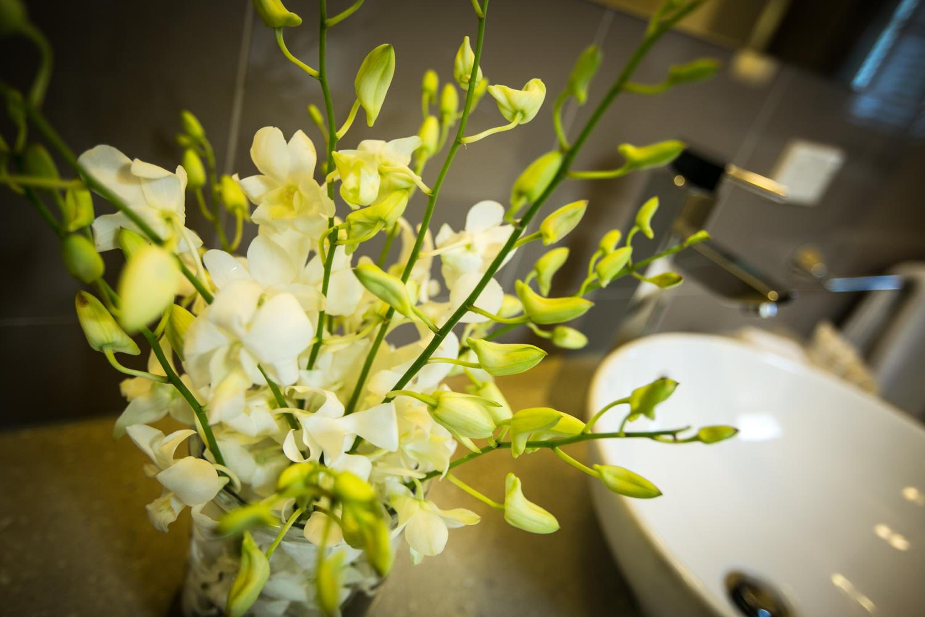 Gallery Apartments, Warrnambool, photo 6