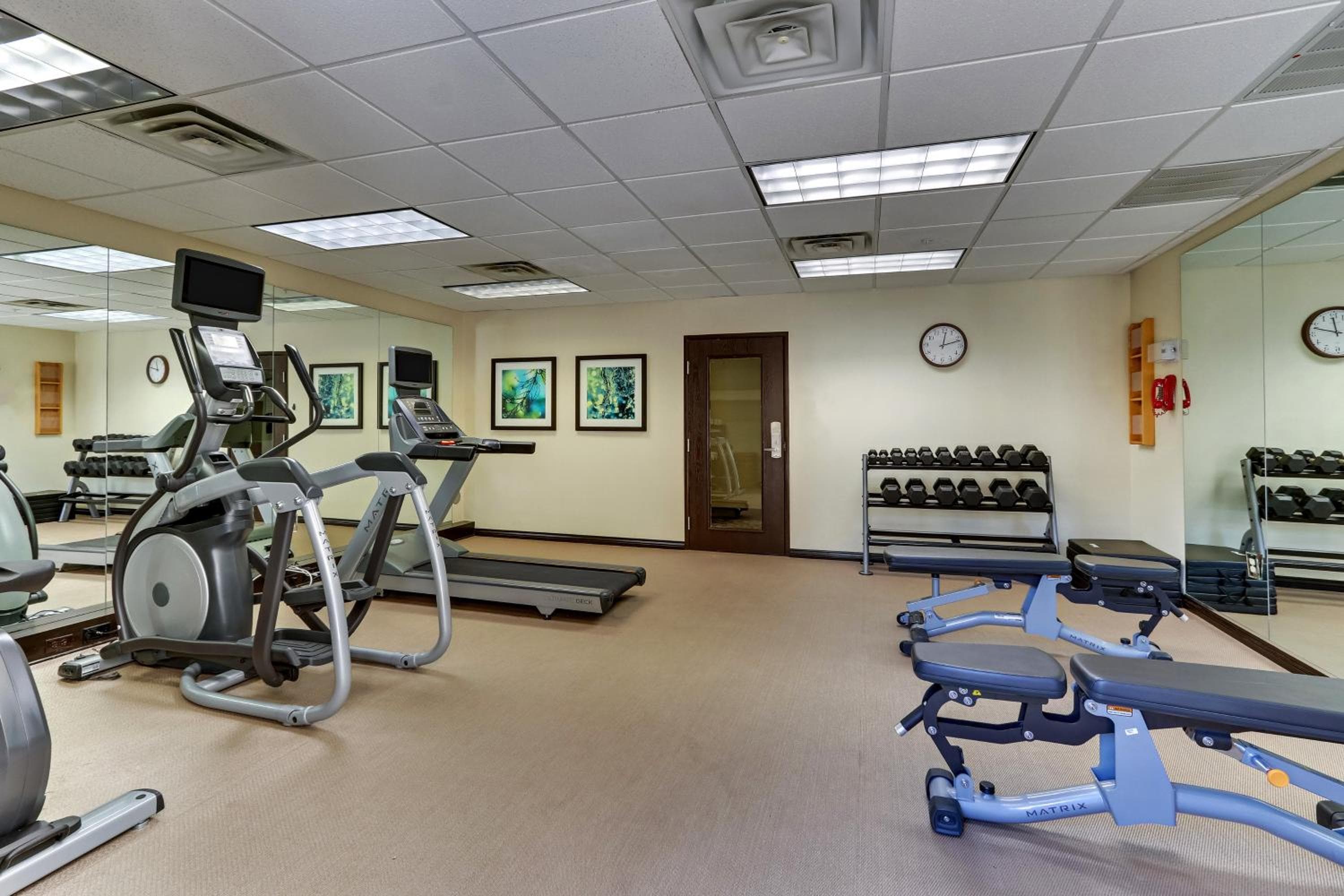 Staybridge Suites San Angelo by IHG, San Angelo, photo 4
