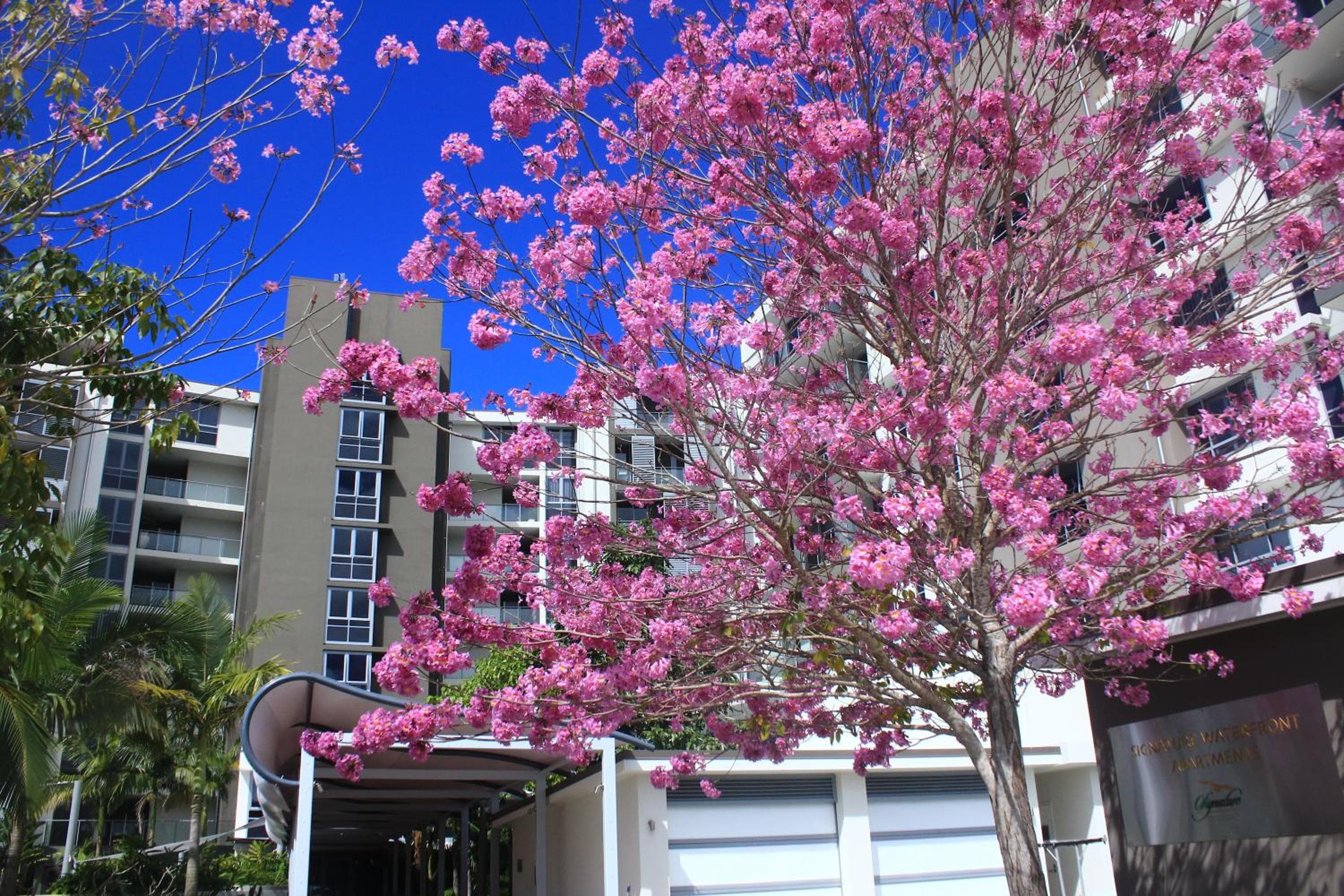 Signature Waterfront Apartments, photo 3