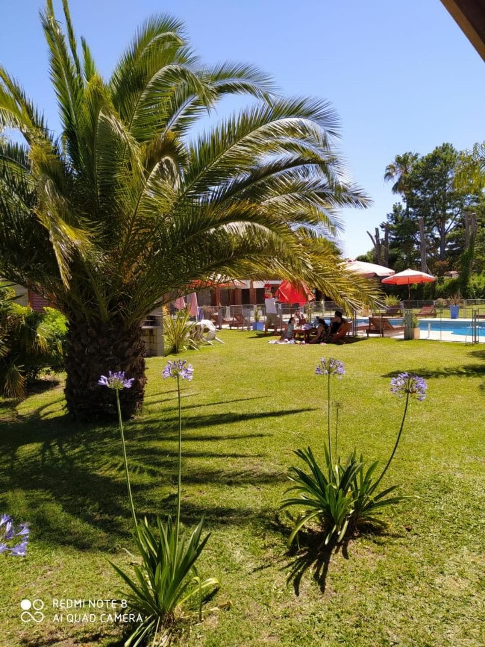 Mediterráneo Cabañas, Chascomús, photo 5