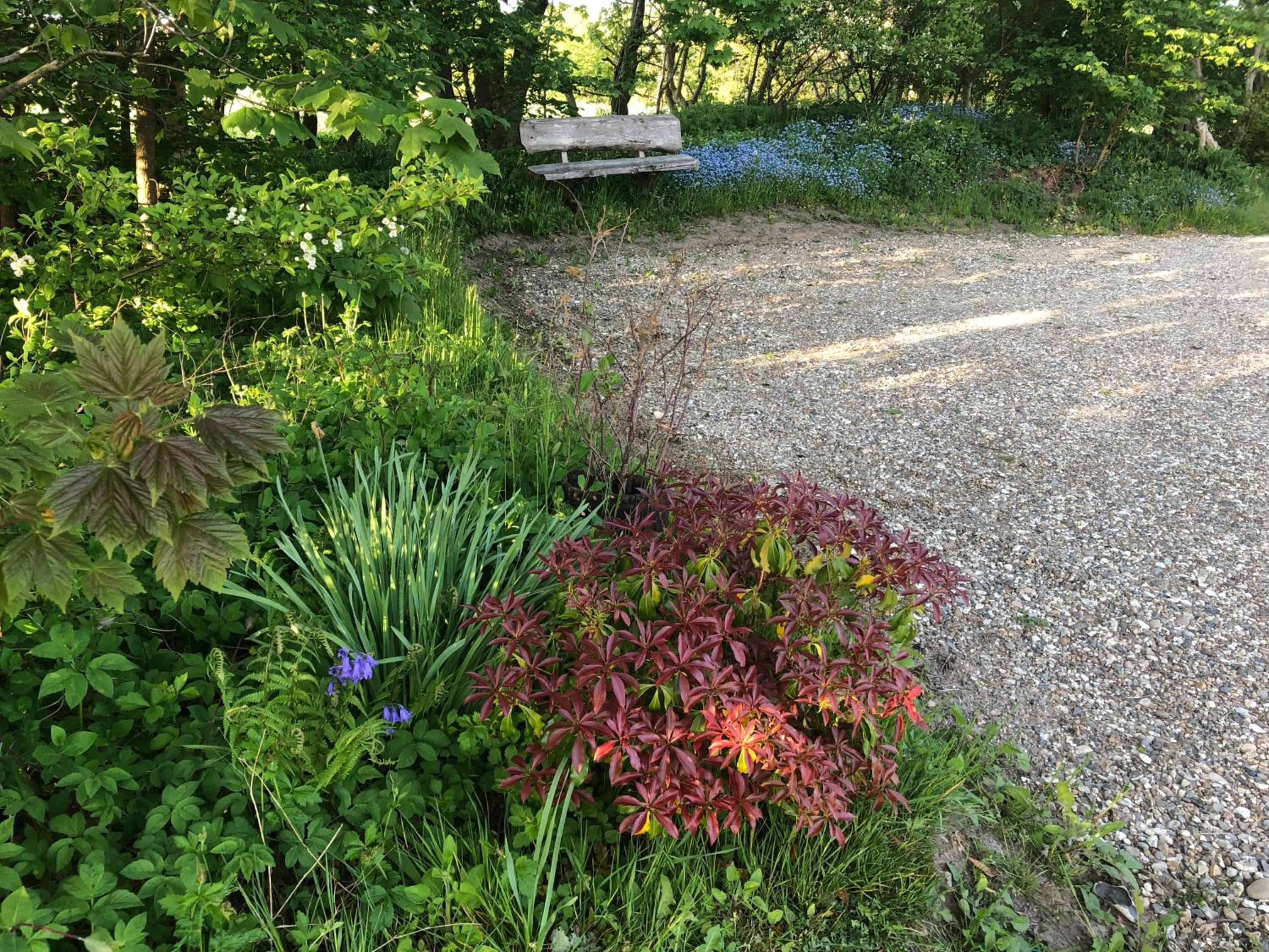 Landevejens B&B Holstebro, Holstebro, photo 3