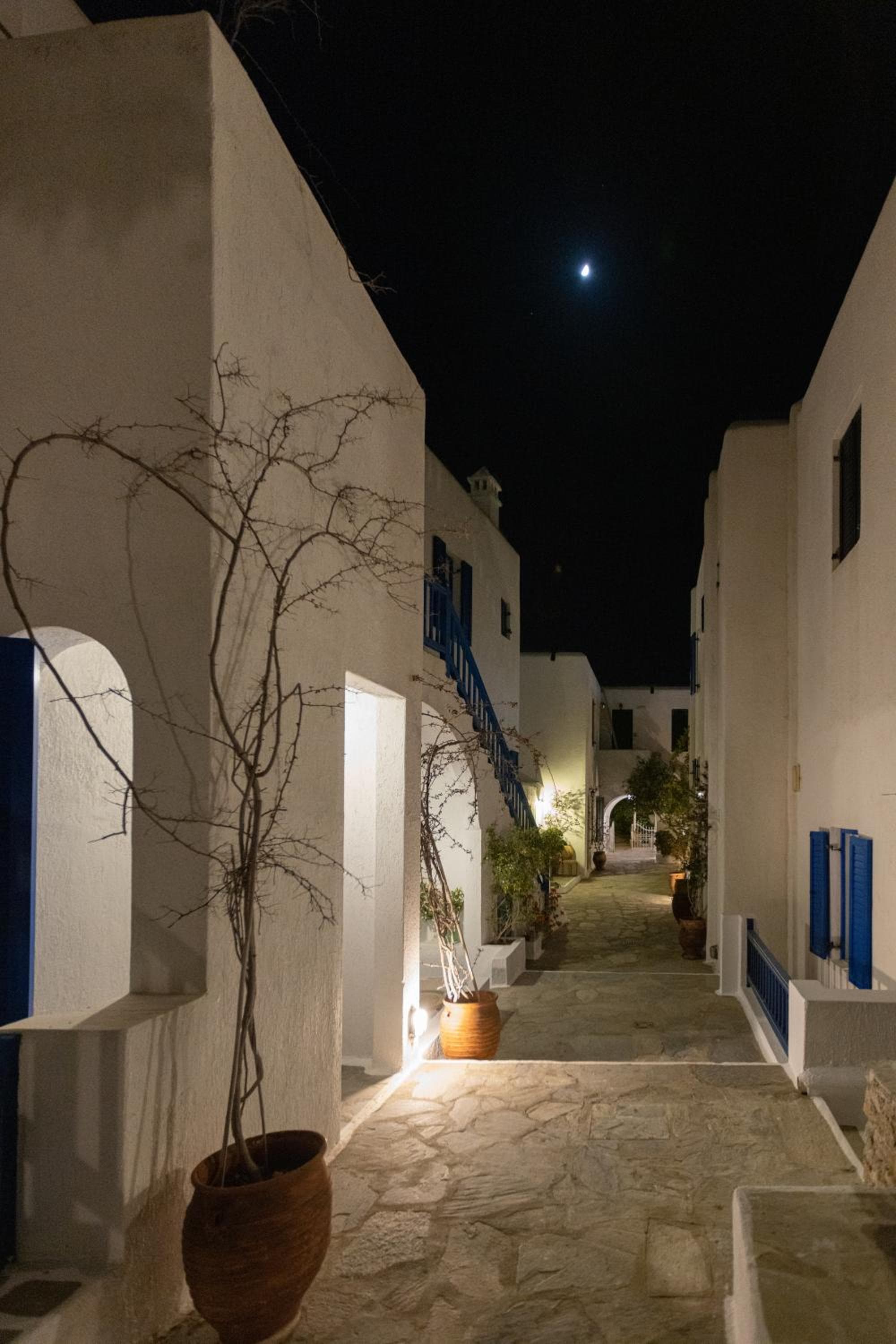 Andromeda Residence, Mýkonos City, photo 5