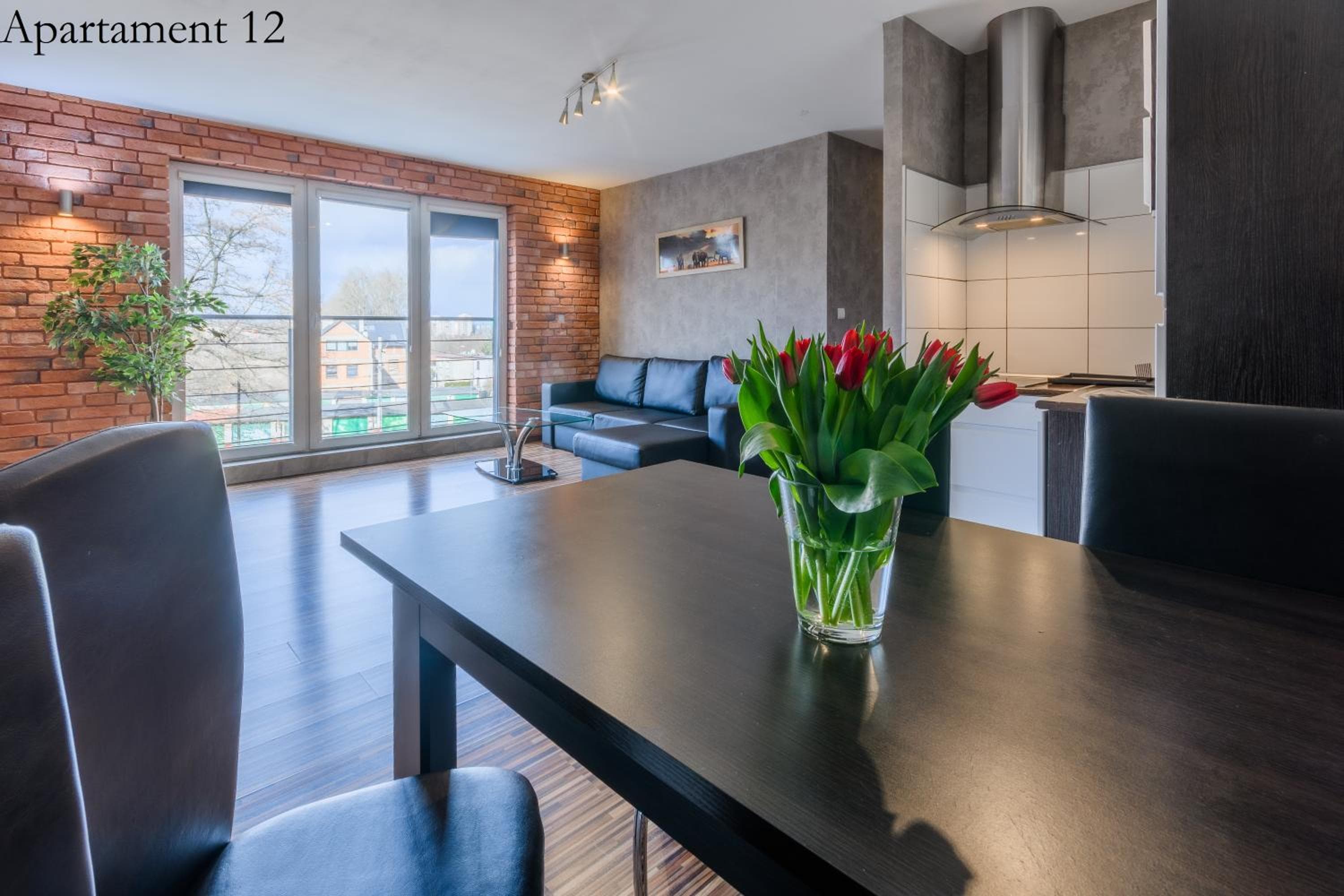 Apartamenty Katowice by Lantier - Basen & Gabinet SPA, Bytom, photo 6