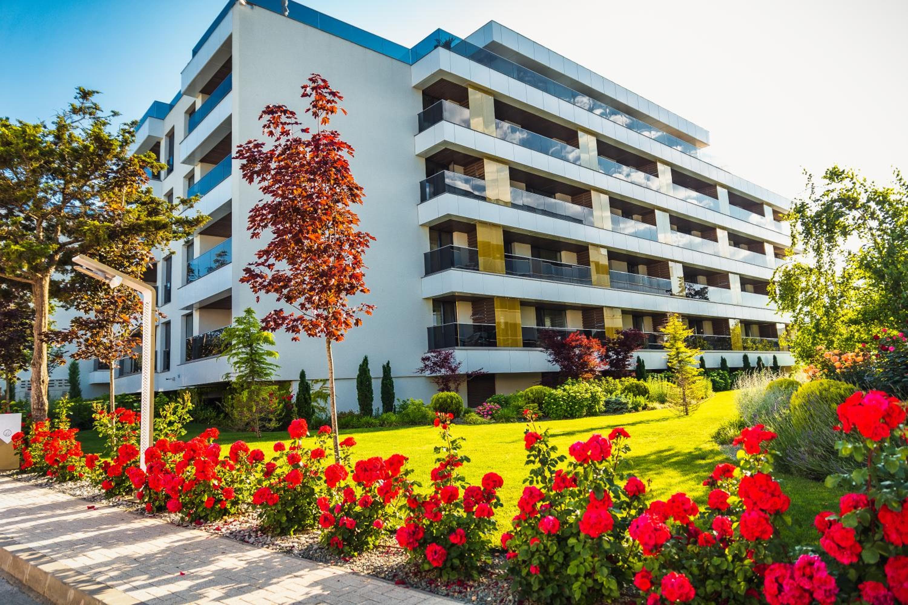 Novum By the Sea, Olimp