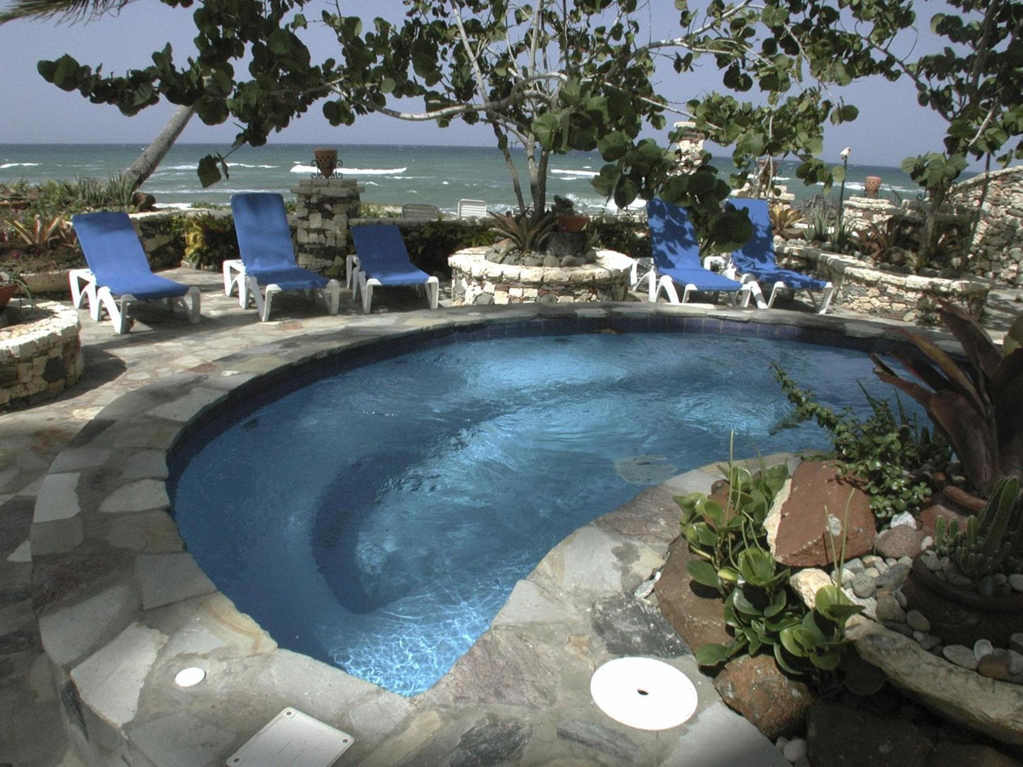 El Magnifico, Cabarete, photo 6