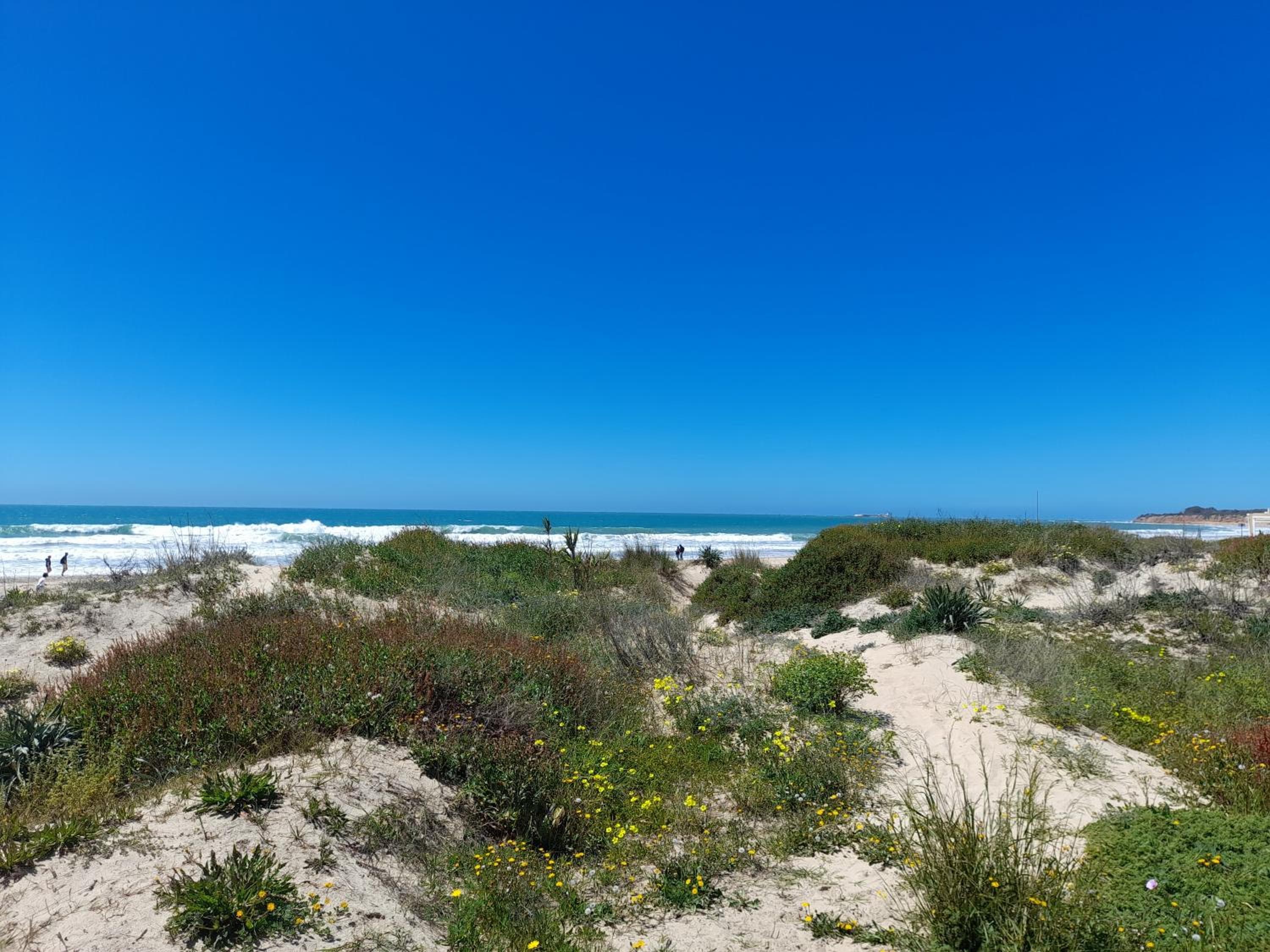 Aparthotel Novo Sancti Petri, Chiclana de la Frontera, photo 3