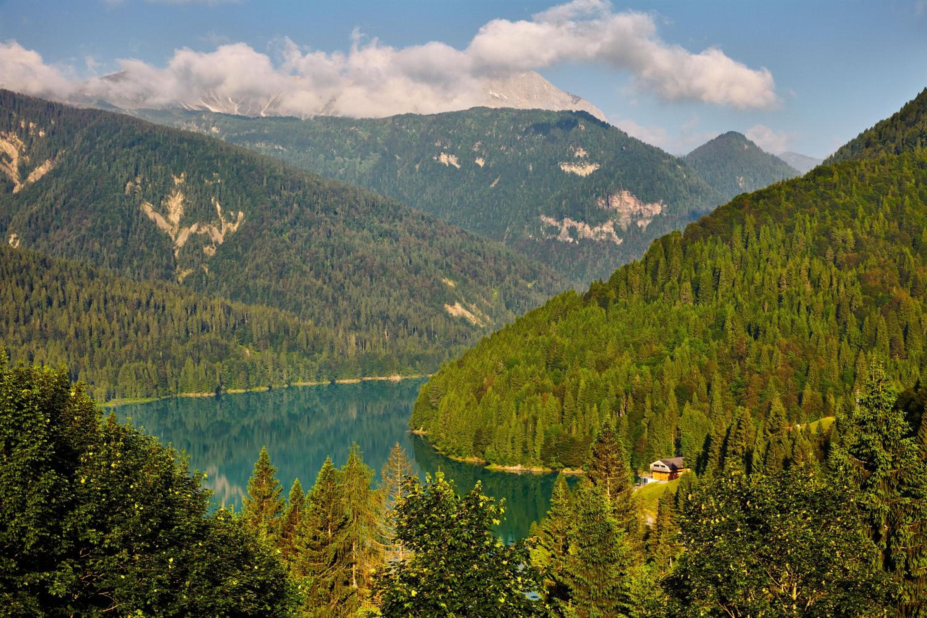 NS SUITE SAURIS, Sauris, photo 6