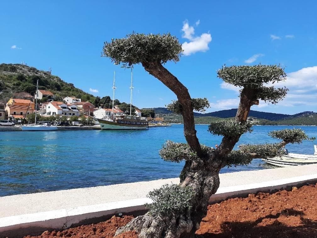 TAL, Tisno, photo 2