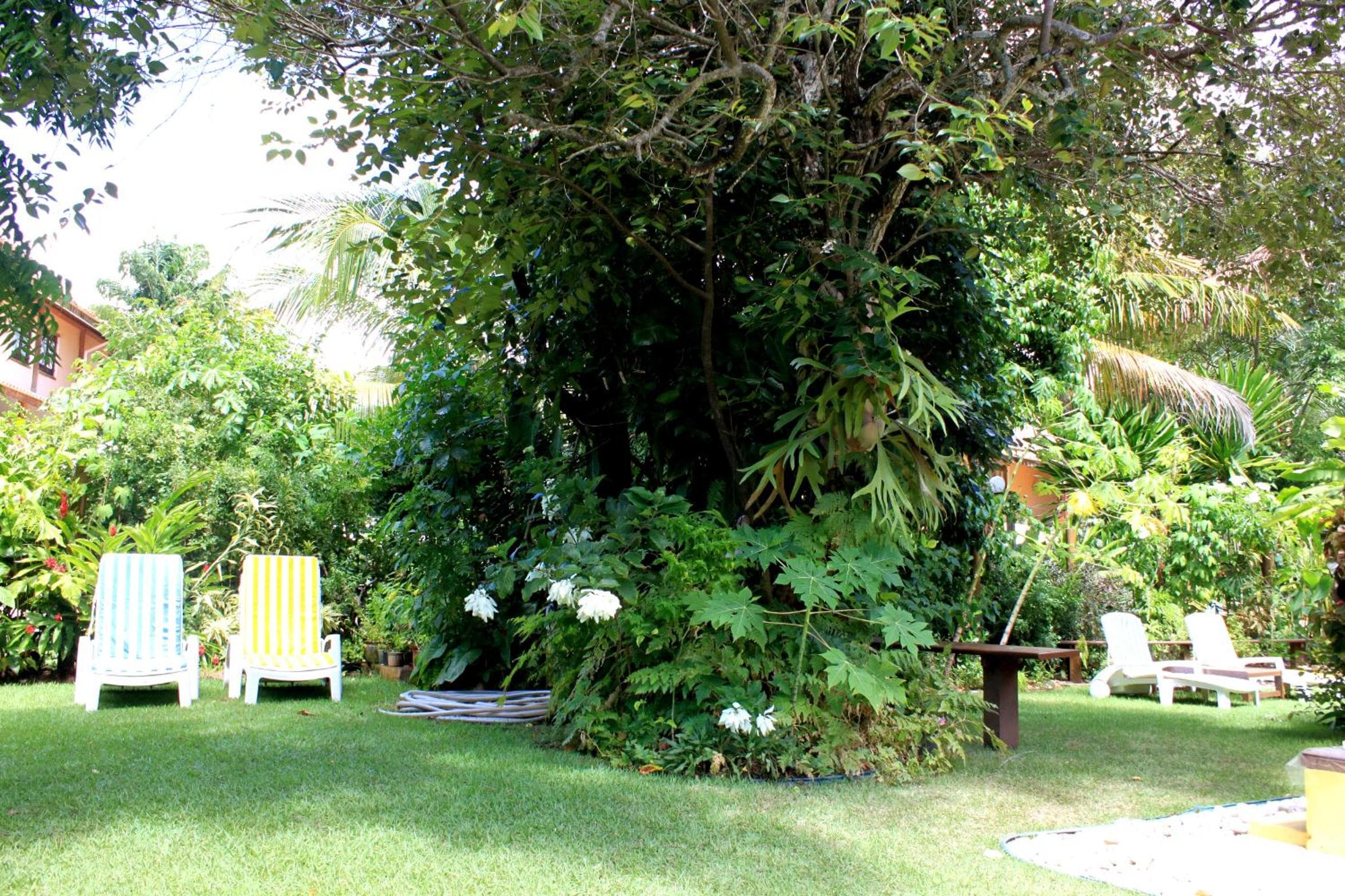 Madalena Apart, Praia do Forte, photo 5