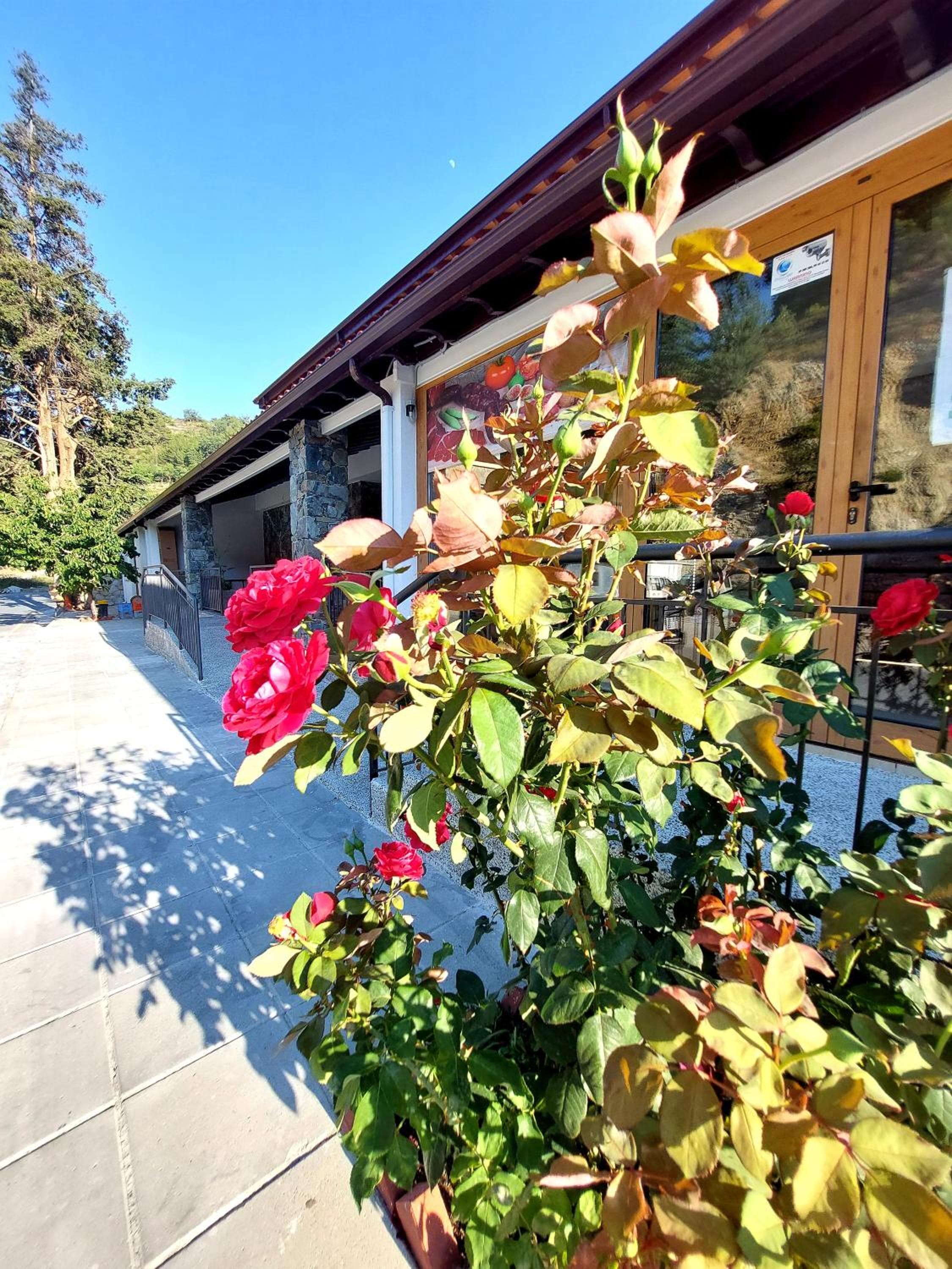 Agros Green Valley Suites, Limassol, photo 4
