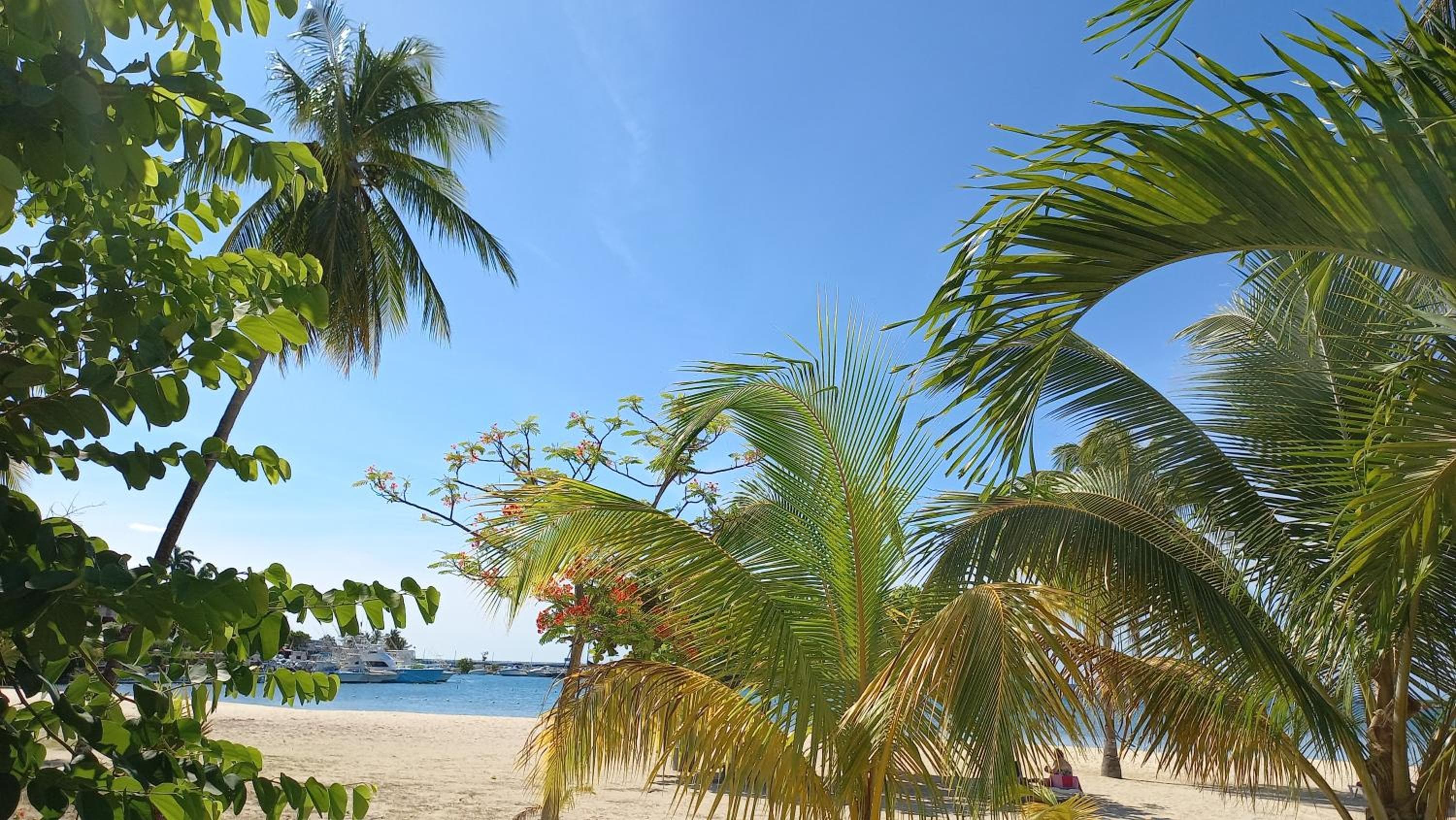 Beach One Bedroom 2, Ocho Rios, photo 2