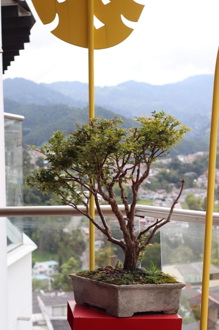 Apartahotel Millennials, Manizales, photo 4