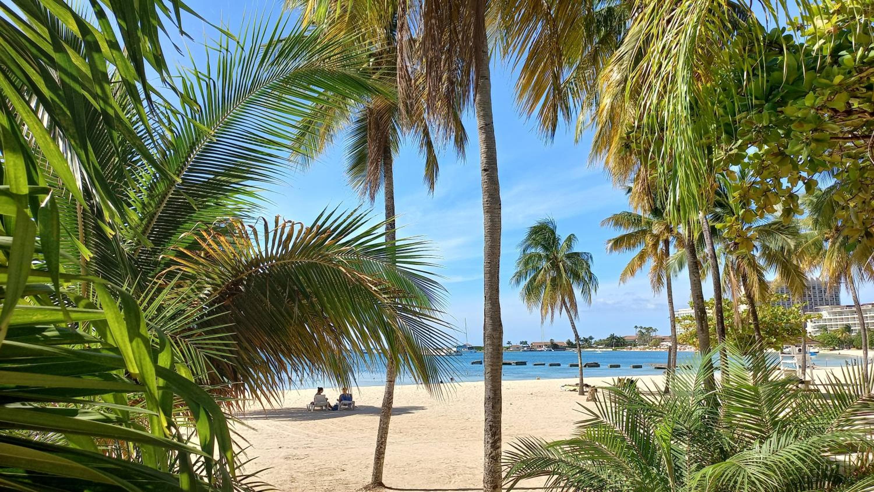 Beach Studio 20, Ocho Rios, photo 6