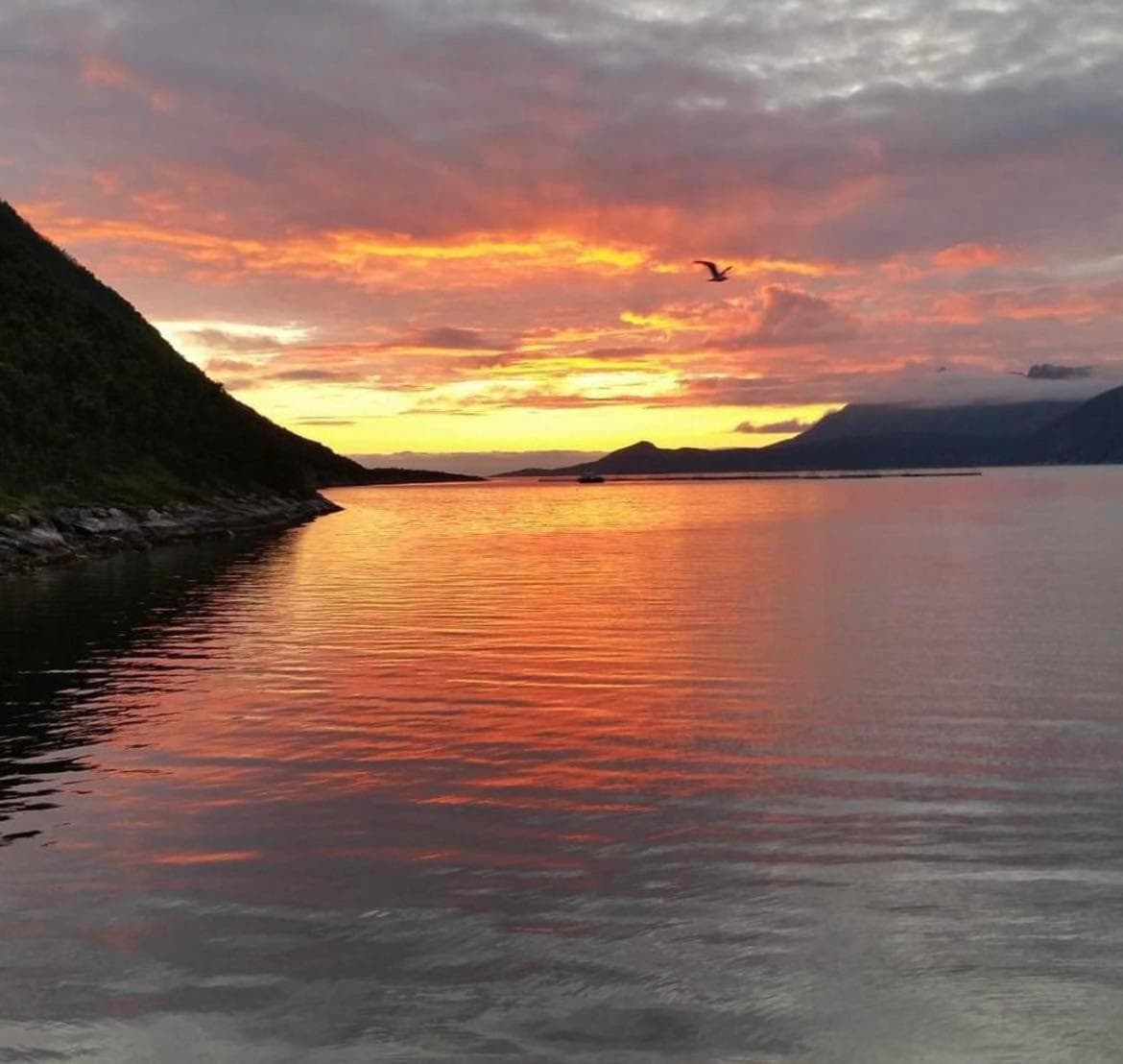 Senja Living, Stonglandseidet, photo 6