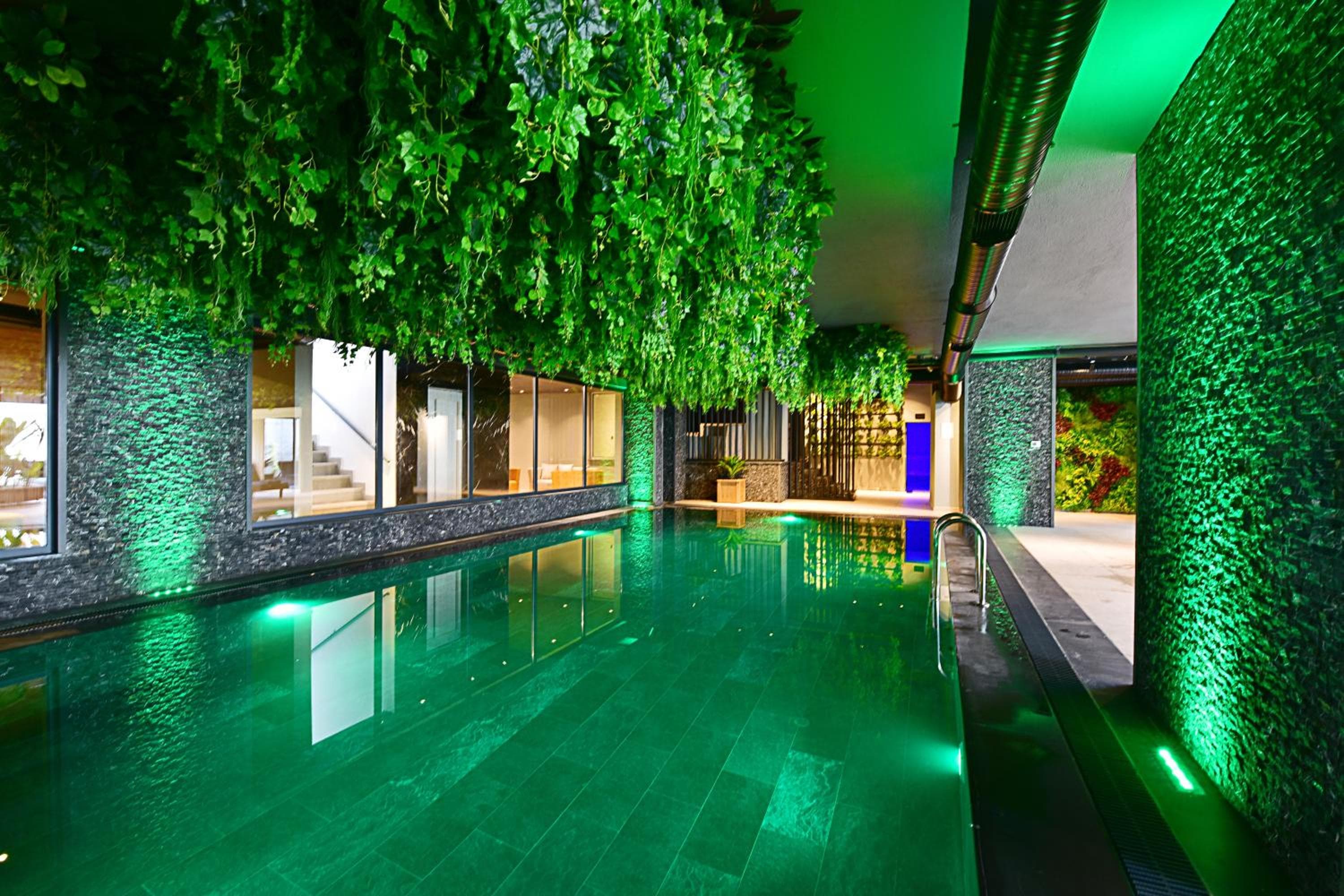 Jasmin Elite Residence & SPA, Gümbet, photo 4