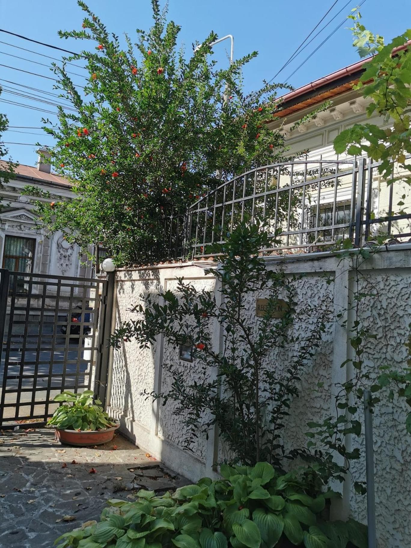 Prince Residence Apartments, Bucharest, photo 3