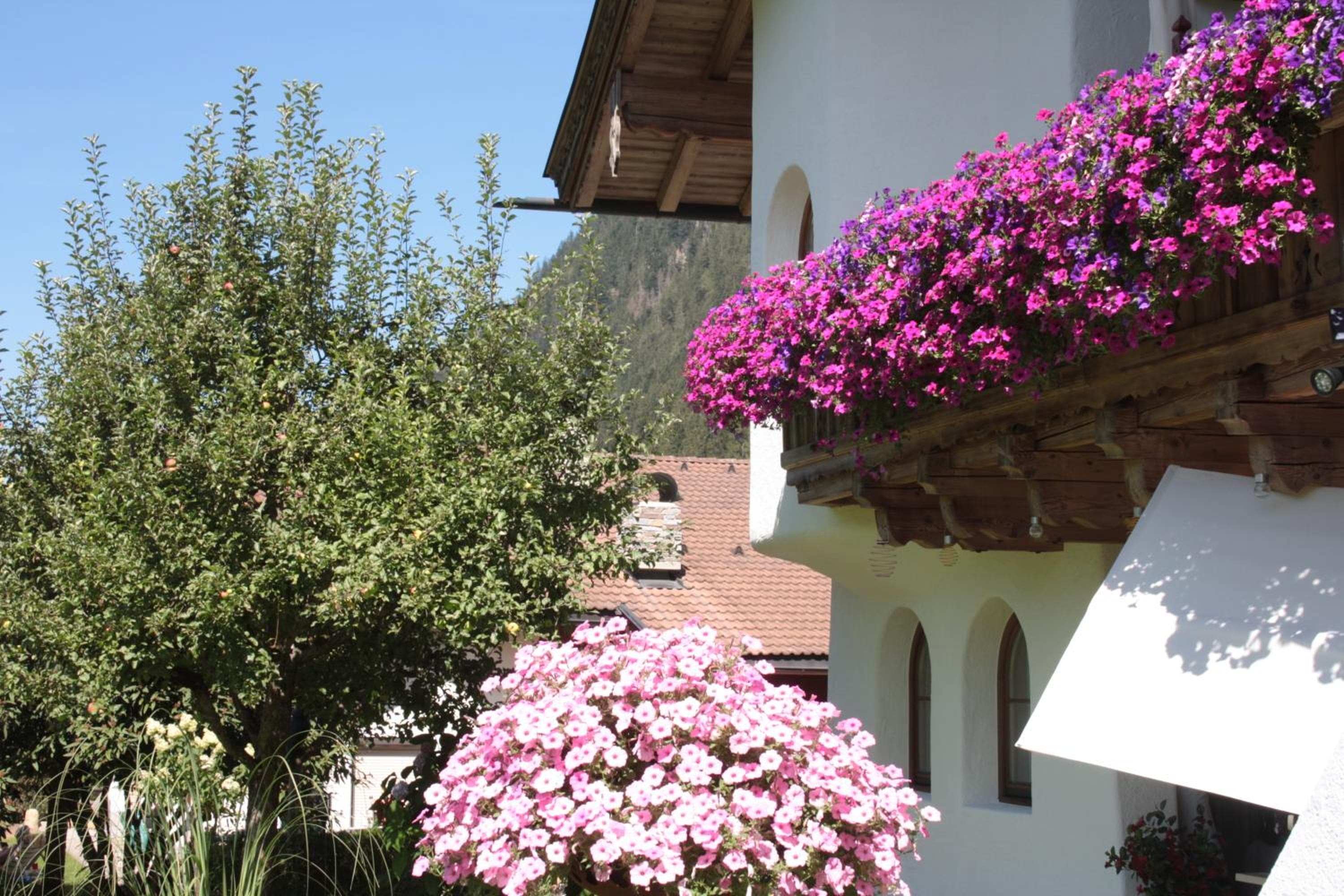 Vronis Waldhaus ADULTS ONLY, Mayrhofen, photo 5