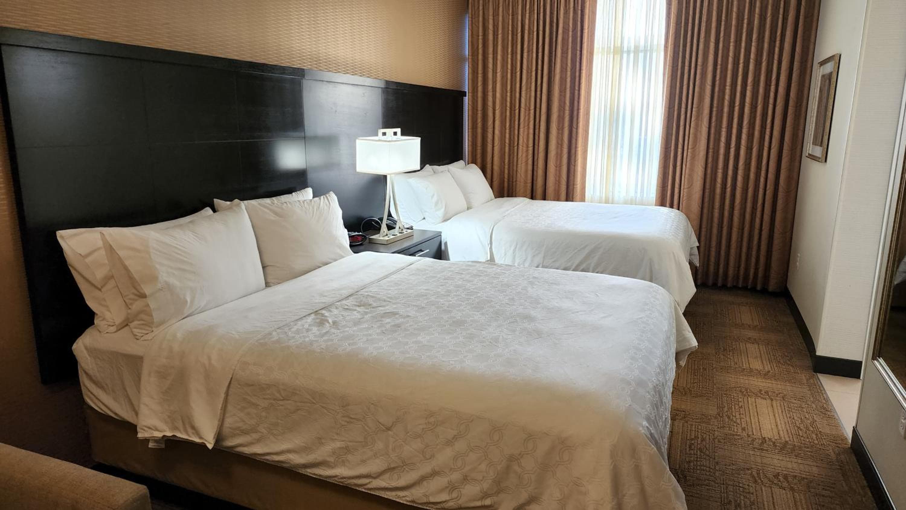 Staybridge Suites Denver Downtown by IHG, Denver, photo 2