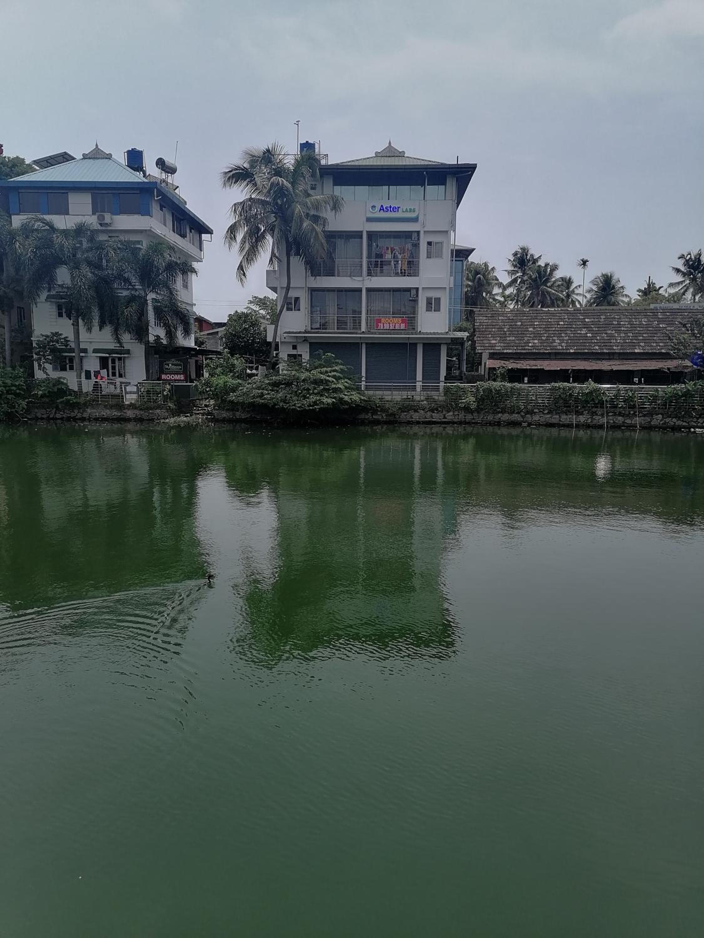 Green Garden Apartments, Kodungallūr, photo 4