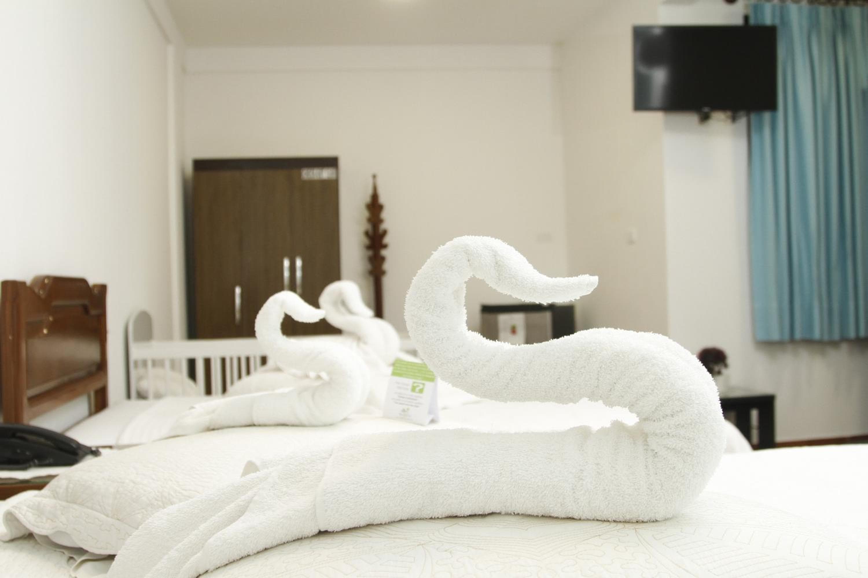 Buen Retiro Apart Hotel, Santa Cruz de la Sierra, photo 4