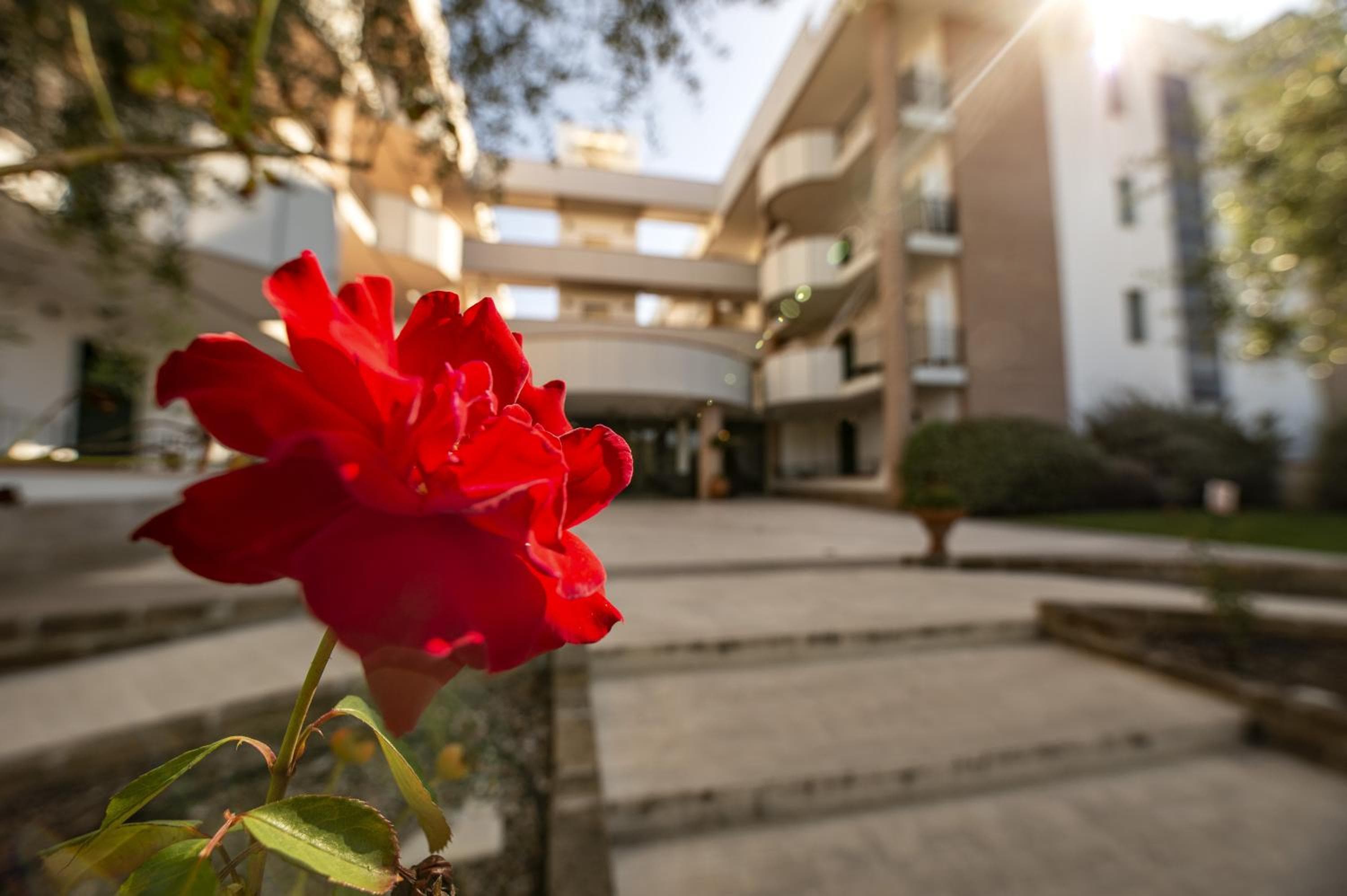 Le Residenze di Santa Costanza - Mirto/Corbezzolo, San Vincenzo