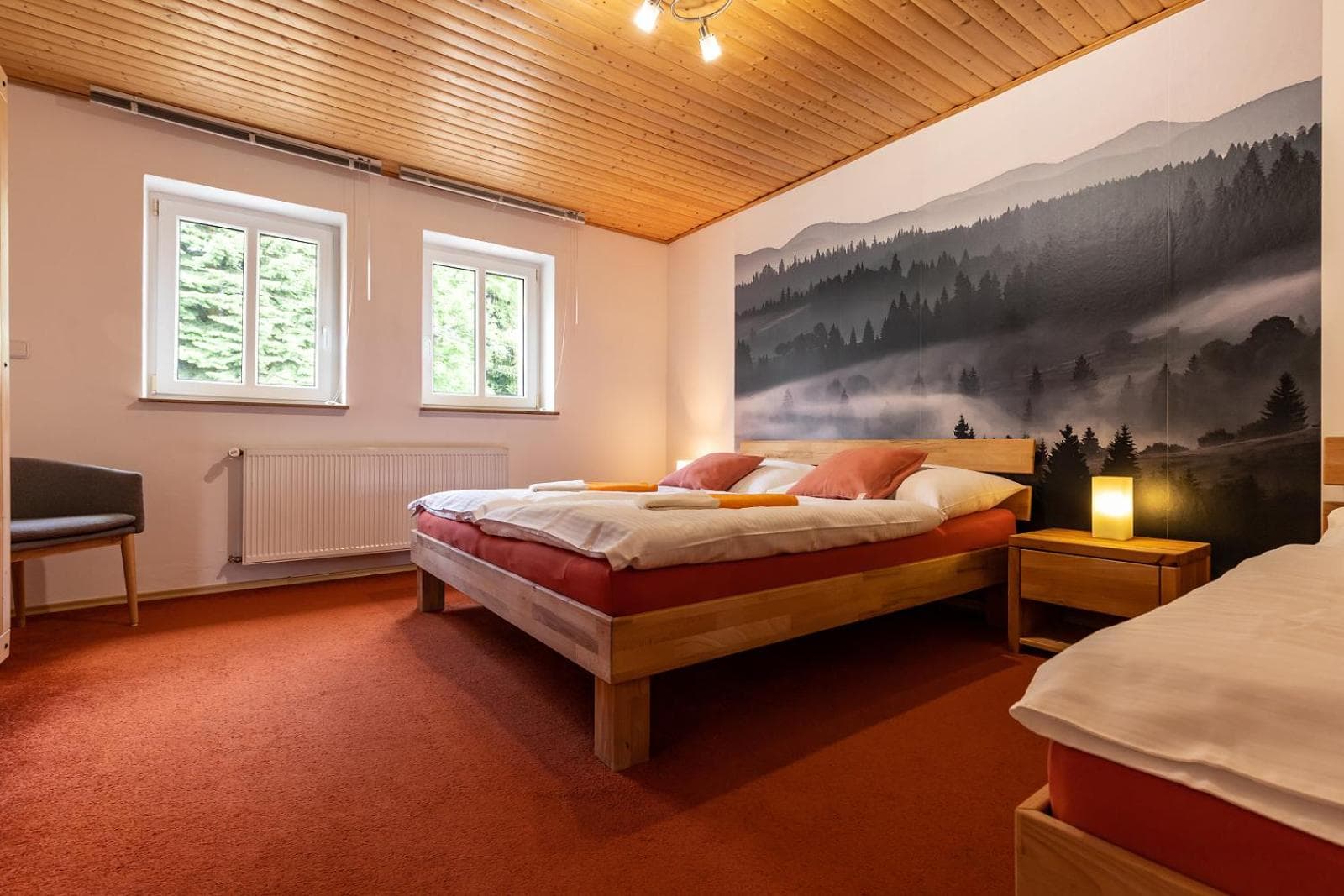 Apartmány nad Šlikovkou, Jáchymov, photo 2