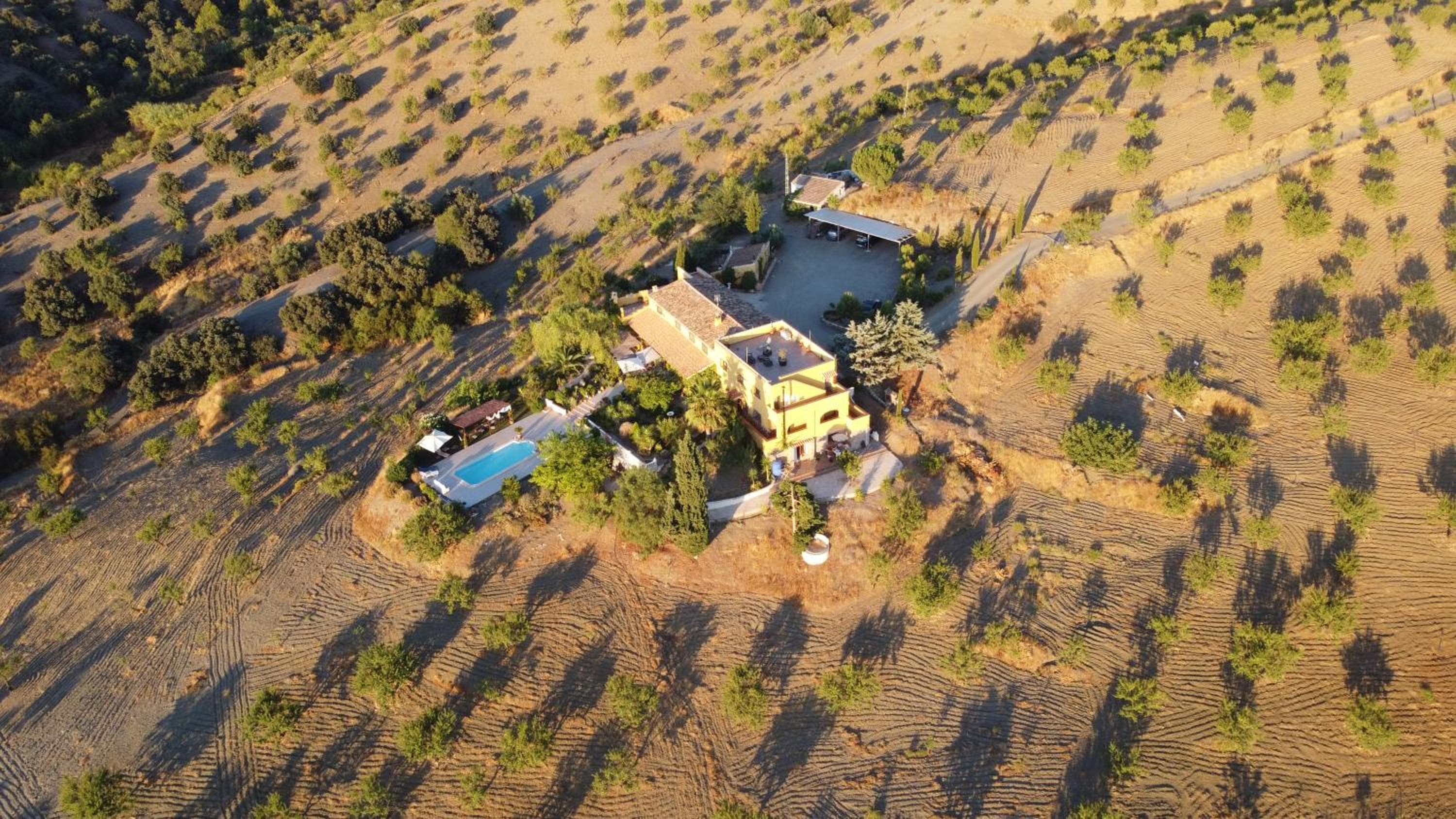 Casa Joya, La Losilla