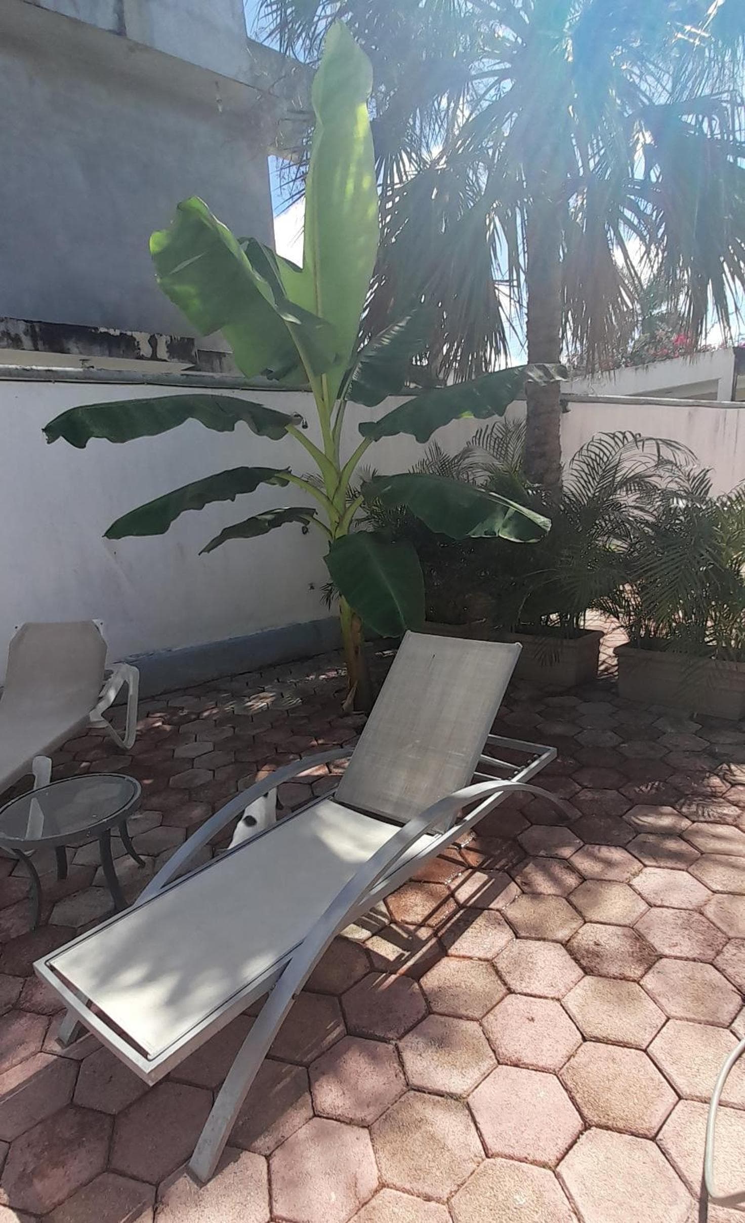 Claro de Luna, Playa del Carmen, photo 4
