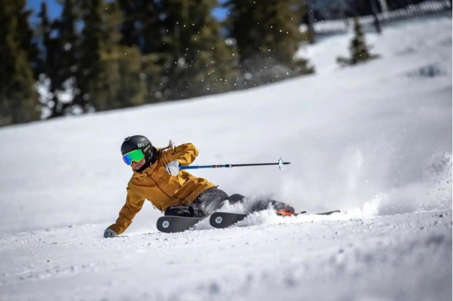 Ski-in Ski-out - The Cliff at Snowbird and Alta, Sandy, photo 3