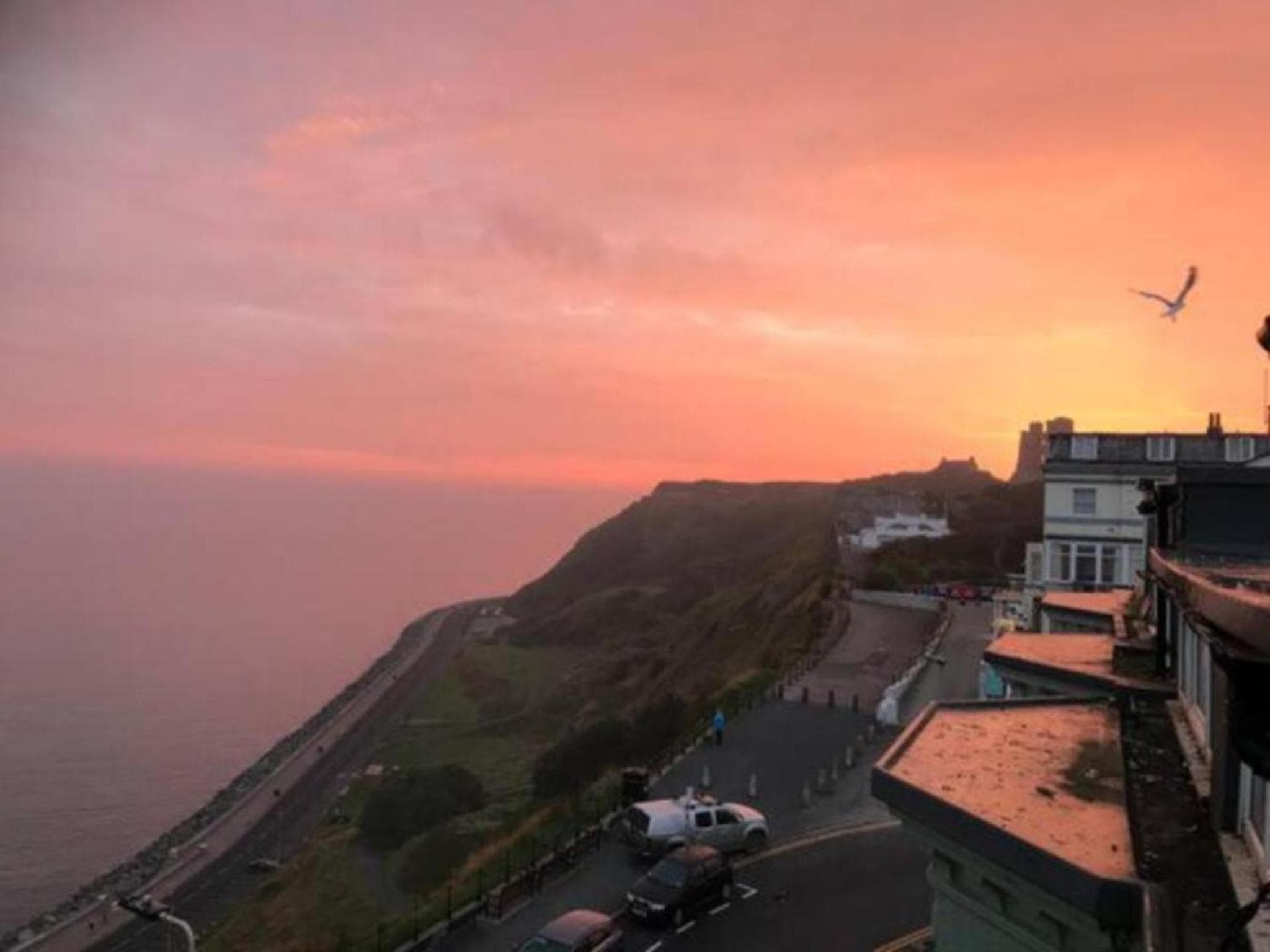 Other at Bay View - Amazing Location dog friendly