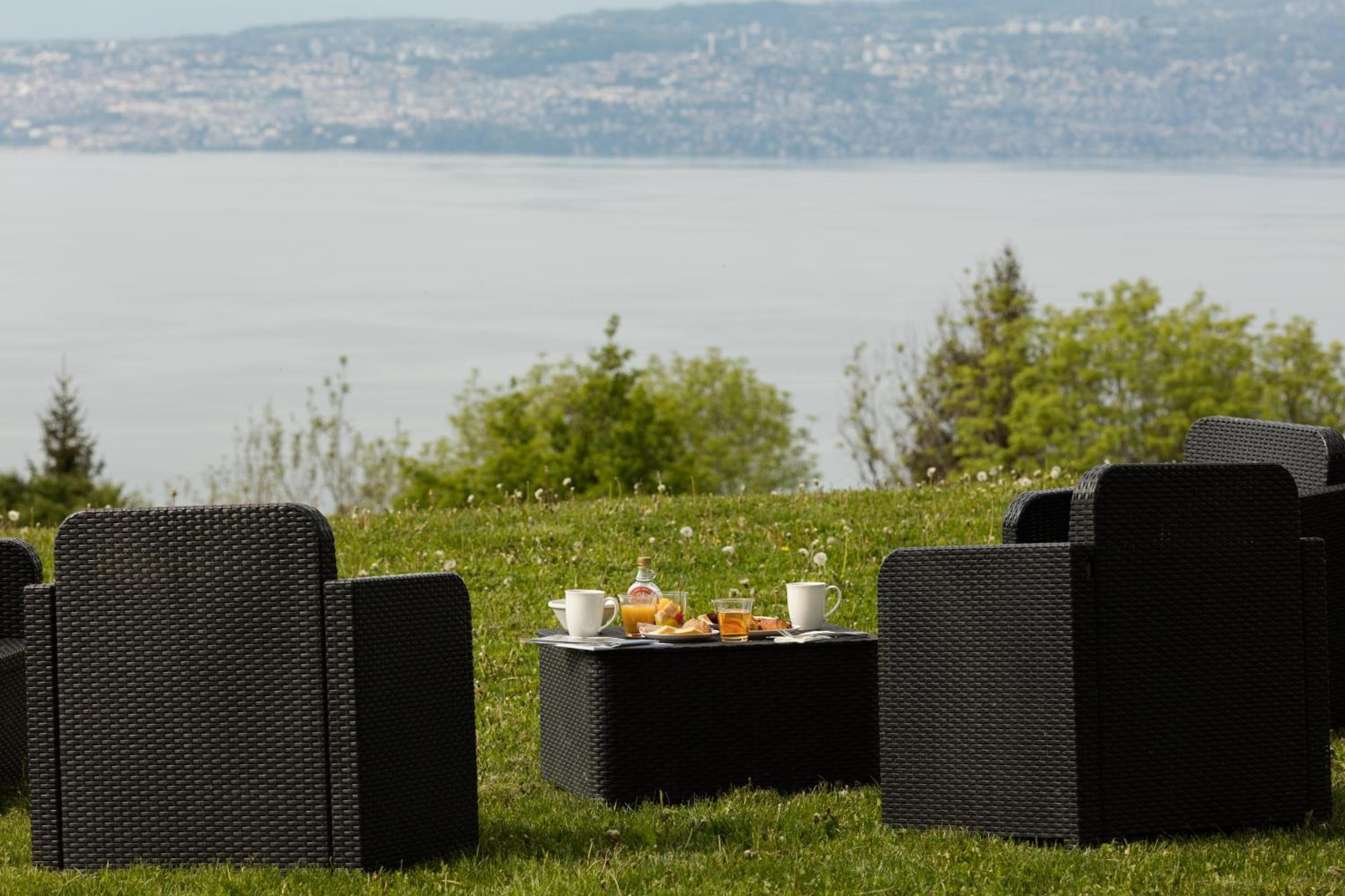 Garden & City Evian - Lugrin, Lugrin, photo 6