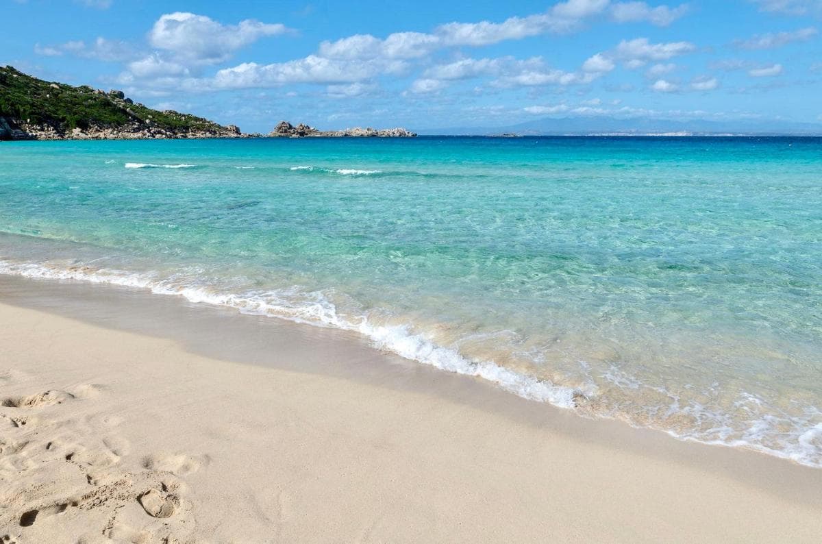 Pavoncelle Santa Teresa di Gallura, Santa Teresa Gallura, photo 6
