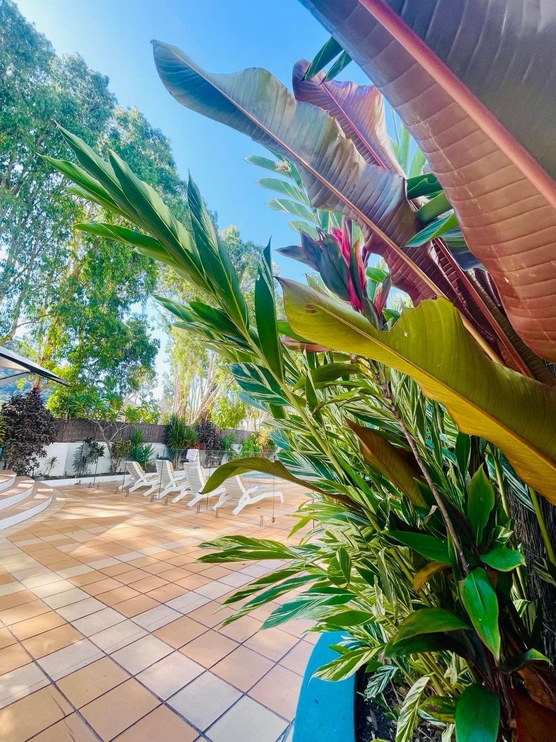 BeachView Apartments at Villa Paradiso, Palm Cove, photo 3