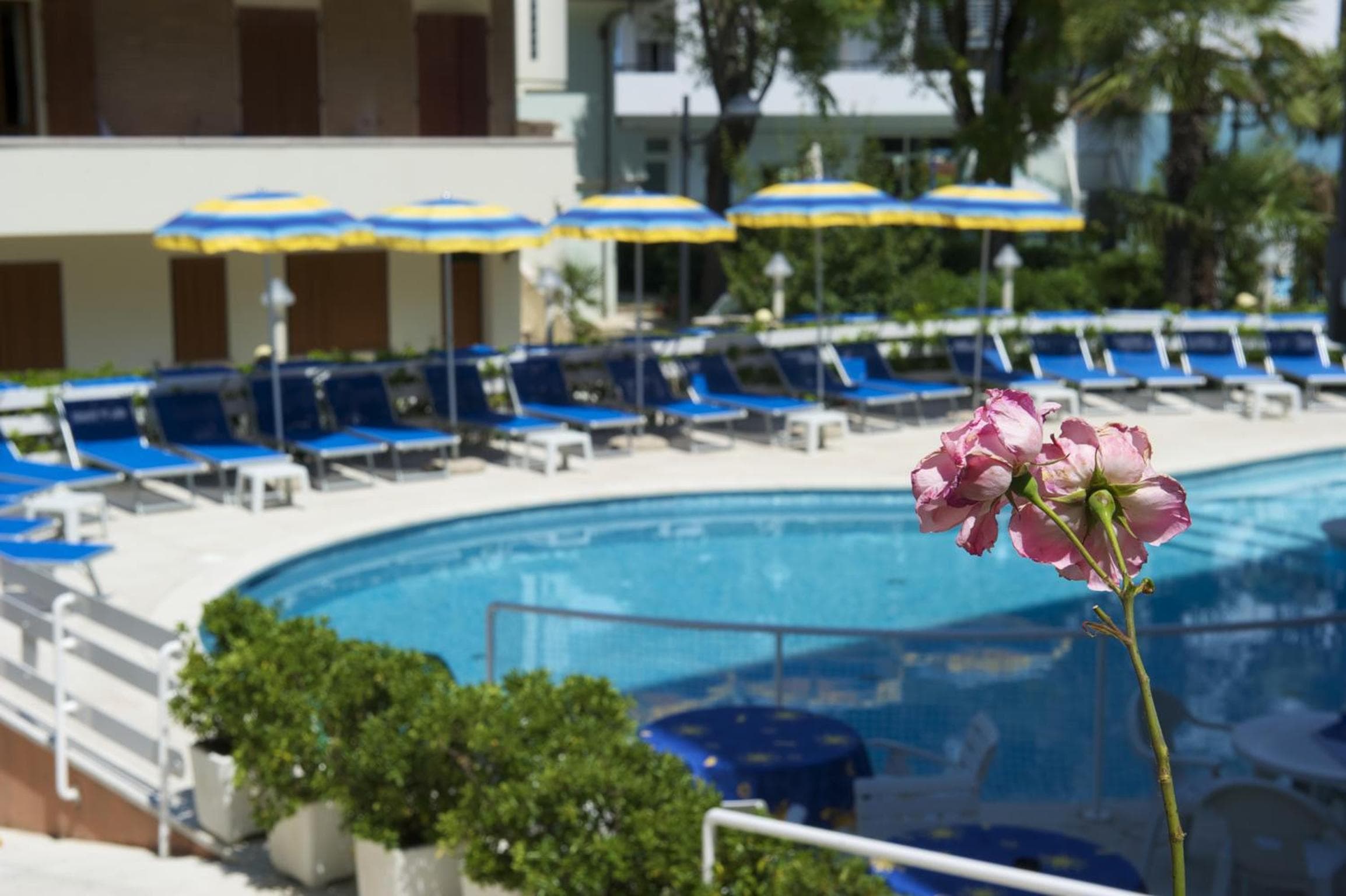 Residence Torretta, Cattolica, photo 6