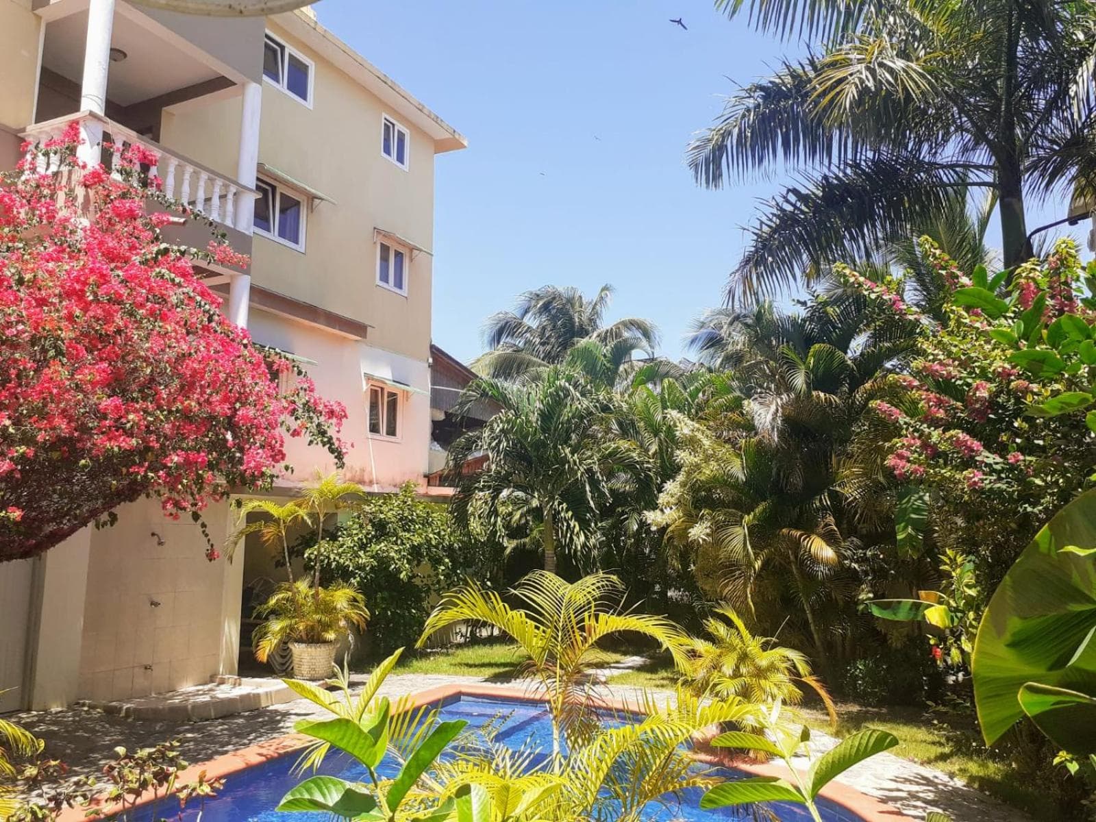 Apartmenthotel Michaela, Sosúa, photo 4